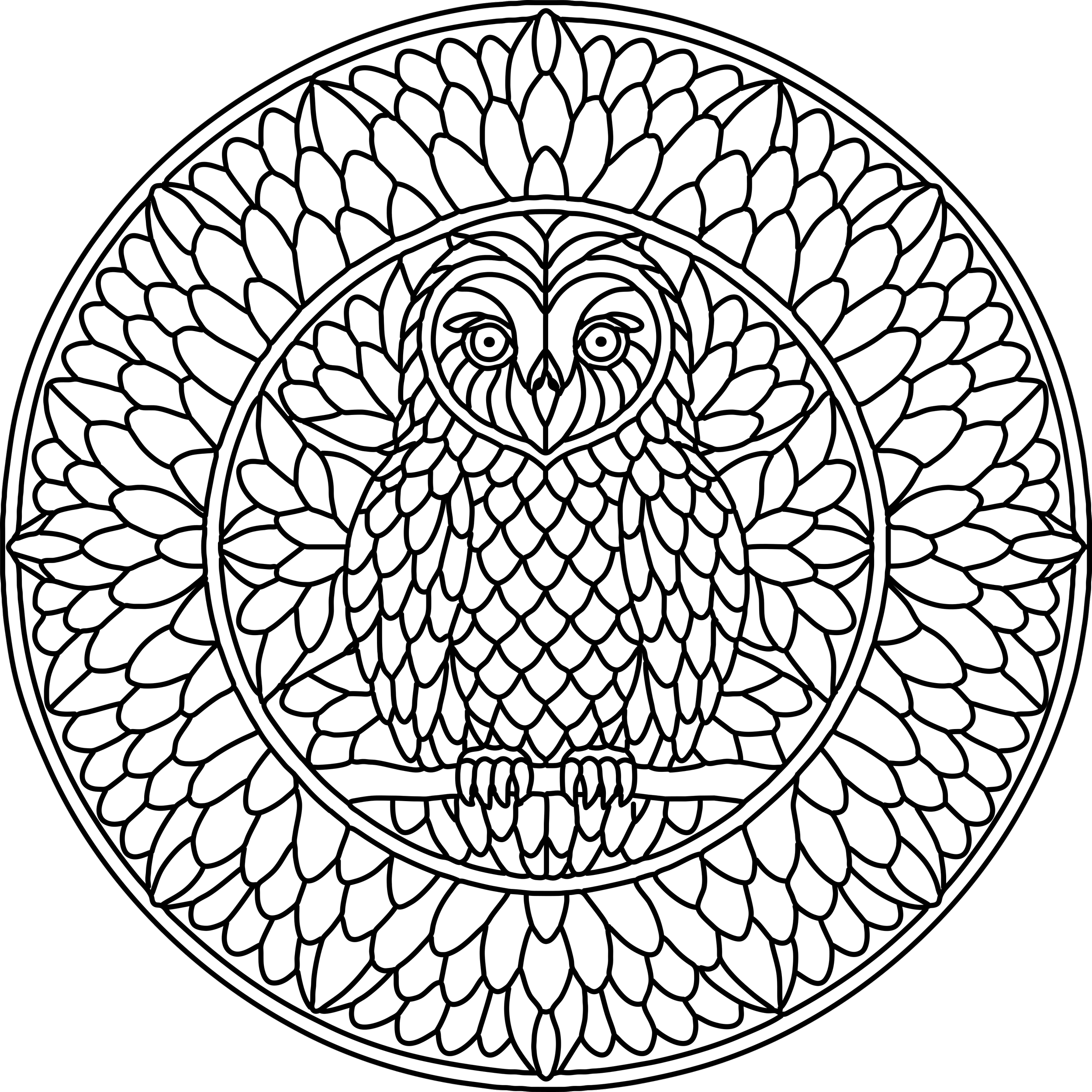 owl bw.png