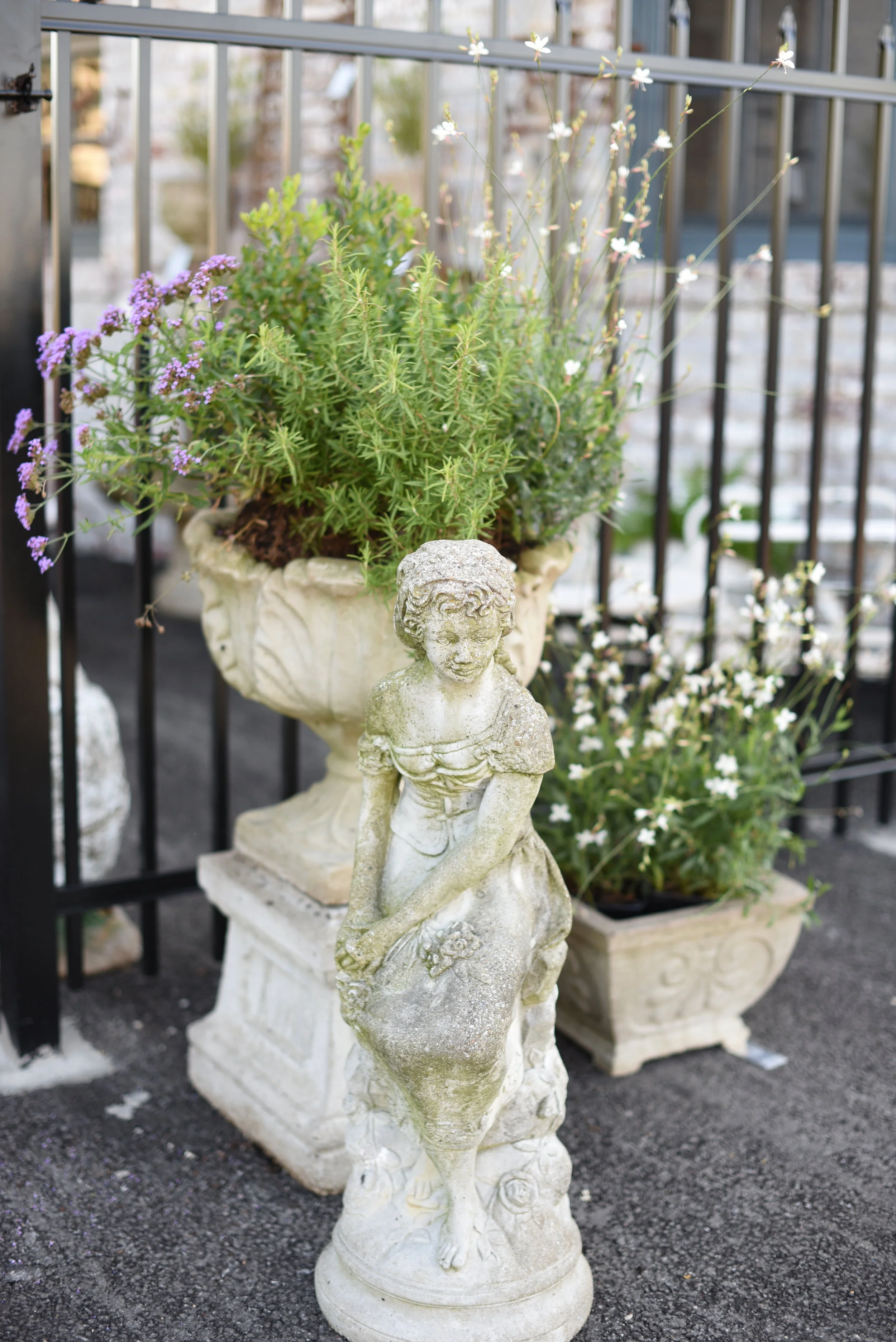 DSC_5323.JPG