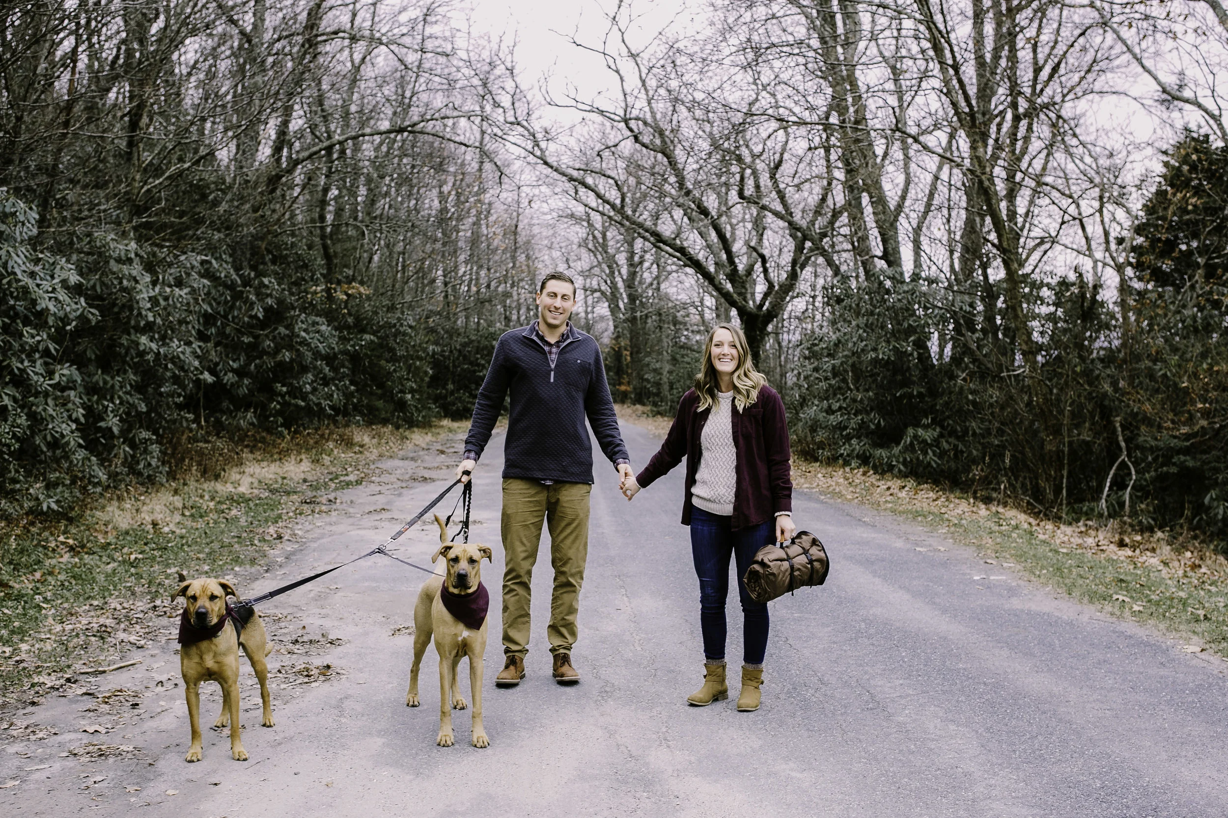 Blue Ridge Parkway, dogs anniversary session, Asheville, Boone, mountains, North Carolina, West Virginia wedding photographer, adventure session, couples session, outdoor adventure, intimate, bold, artistic photography, Charleston West Virginia Wedding Photographer