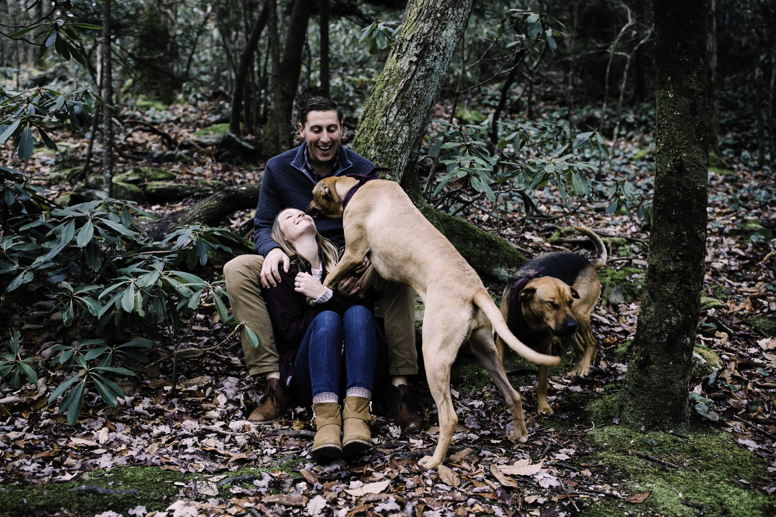 Blue Ridge Parkway, dogs anniversary session, Asheville, Boone, mountains, North Carolina, West Virginia wedding photographer, adventure session, couples session, outdoor adventure, intimate, bold, artistic photography, Charleston West Virginia Wedding Photographer