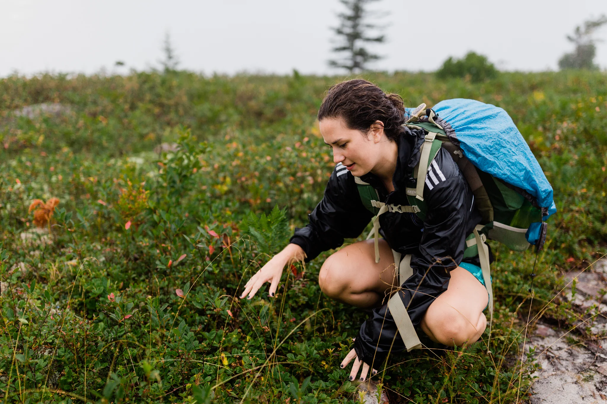 Hiking in Dolly Sods West Virginia, West Virginia adventure photographer, Dolly Sods adventures, rainy day adventures, rainy hike