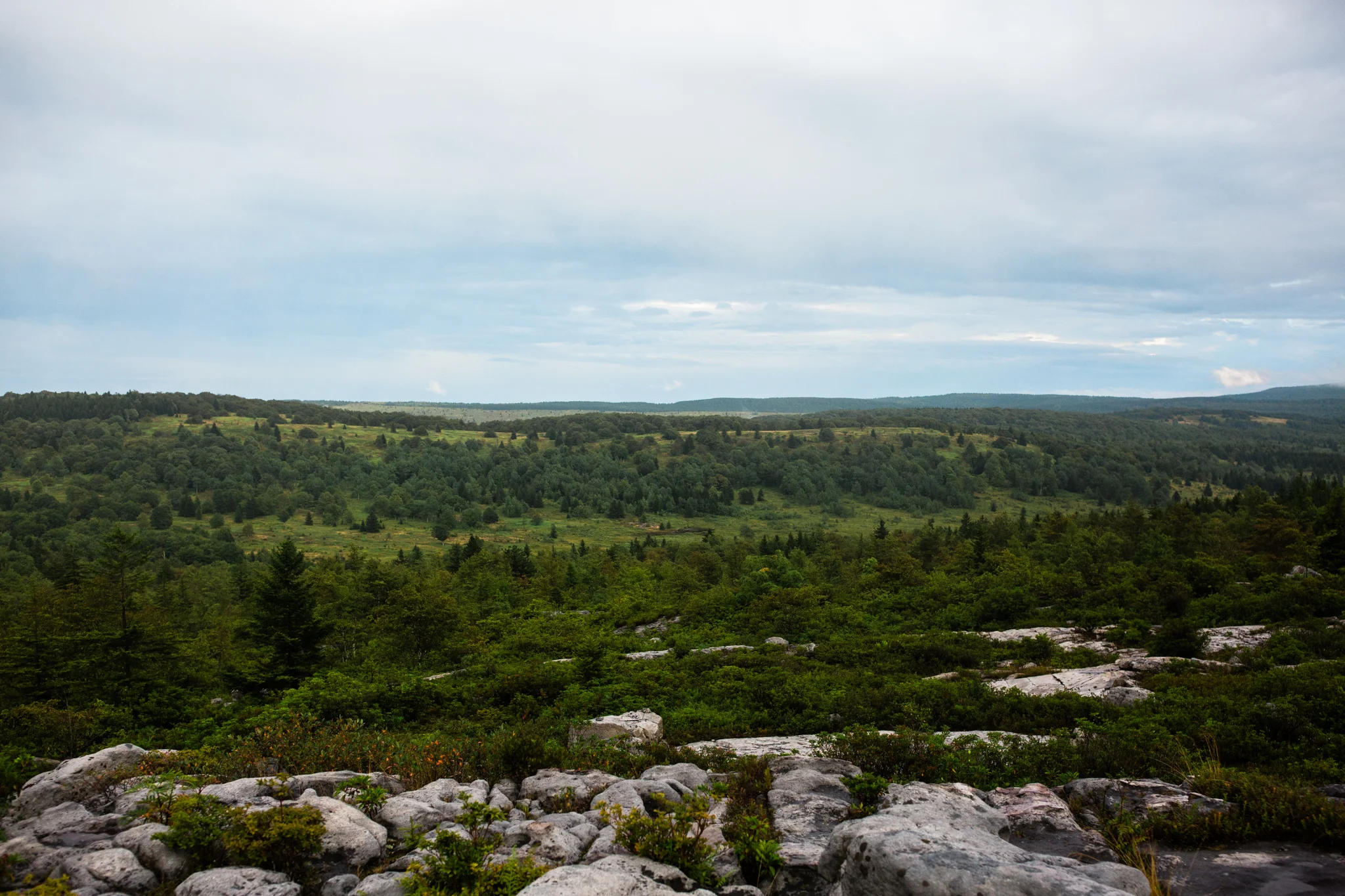 Hiking in Dolly Sods West Virginia, West Virginia adventure photographer, Dolly Sods adventures, rainy day adventures, rainy hike. The view just off path during a rainy Dolly Sods backpacking trip
