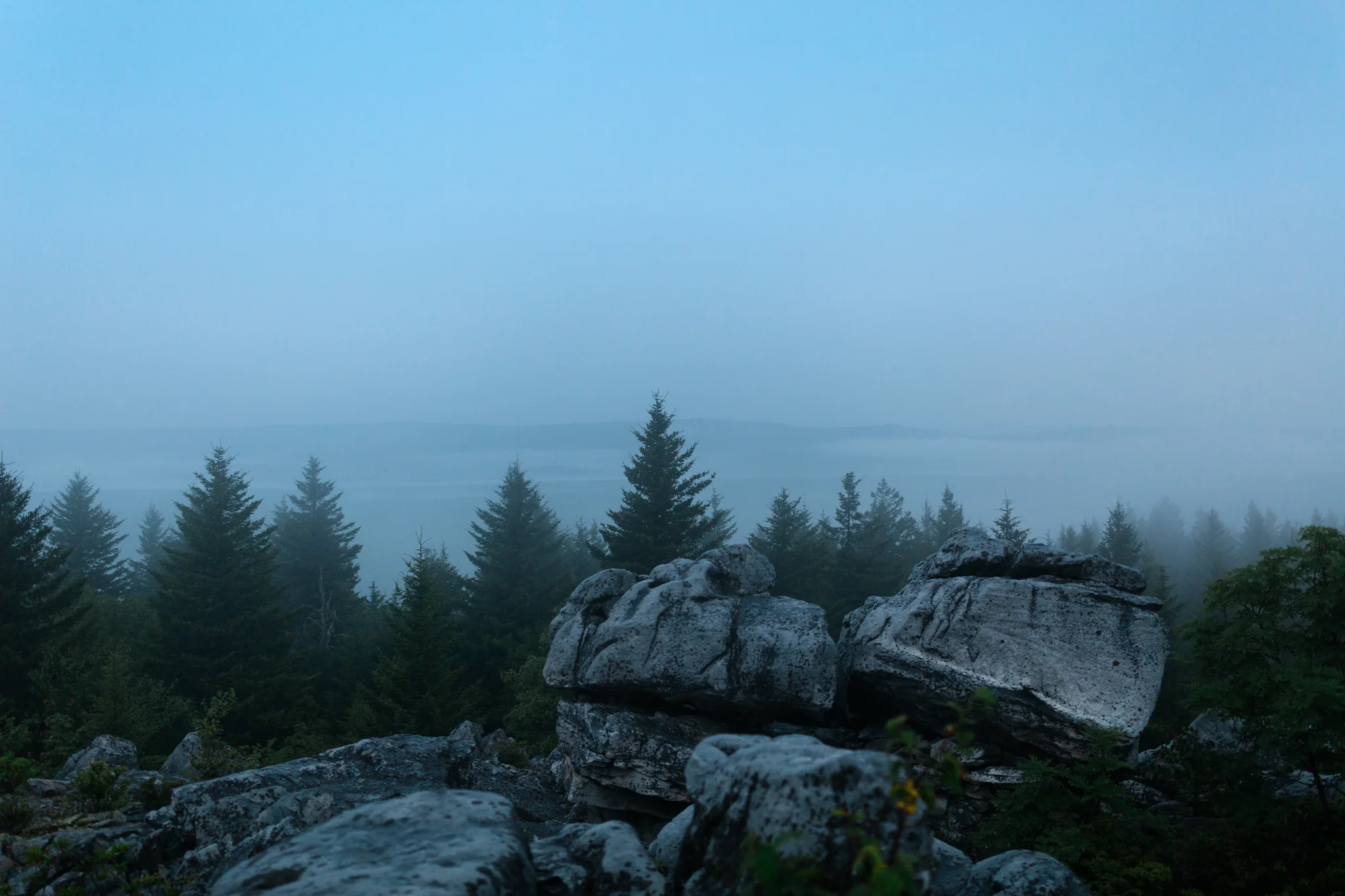 Hiking in Dolly Sods West Virginia, West Virginia adventure photographer, Dolly Sods adventures, rainy day adventures, rainy hike. A rainy backpacking trip at Dolly Sods, WV. A foggy morning vista in Dolly Sods, WV