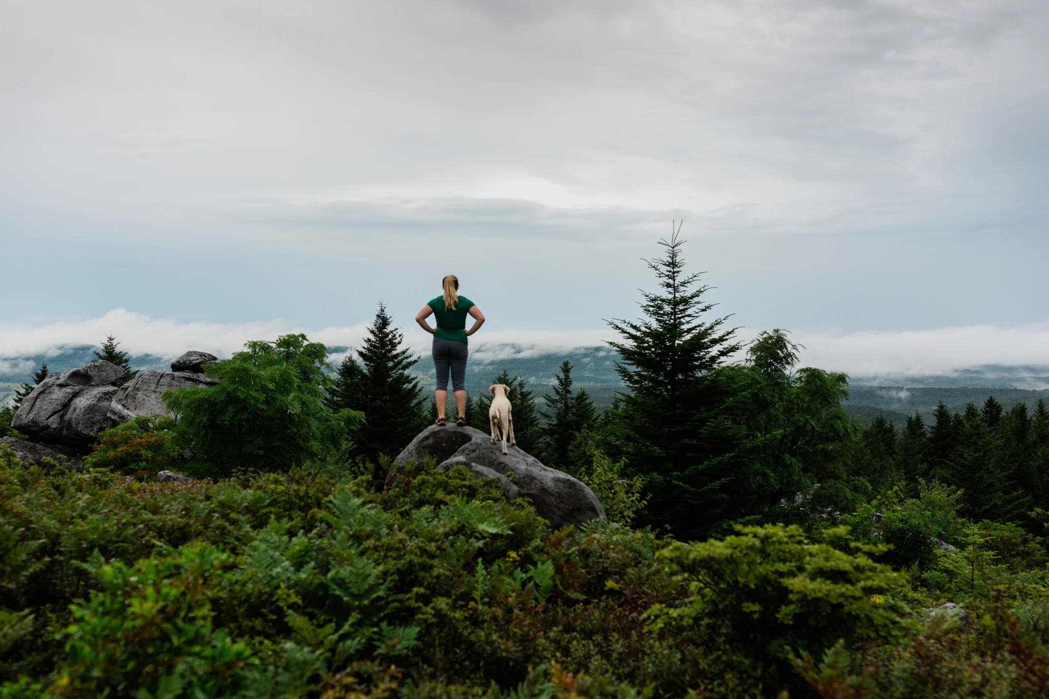 Hiking in Dolly Sods West Virginia, West Virginia adventure photographer, Dolly Sods adventures, rainy day adventures, rainy hike. A rainy backpacking trip at Dolly Sods, WV