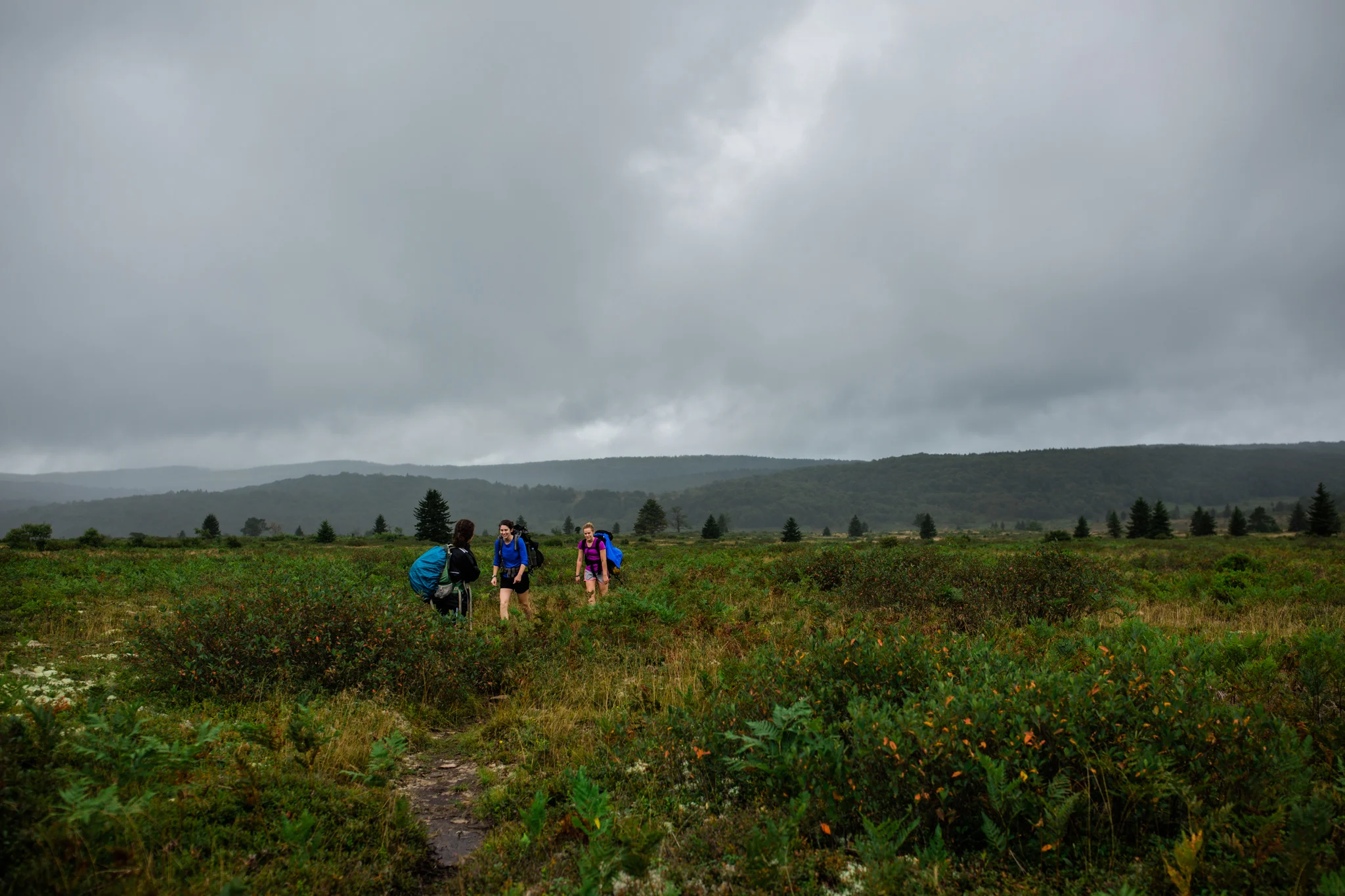 Hiking in Dolly Sods West Virginia, West Virginia adventure photographer, Dolly Sods adventures, rainy day adventures, rainy hike. A rainy backpacking trip at Dolly Sods, WV