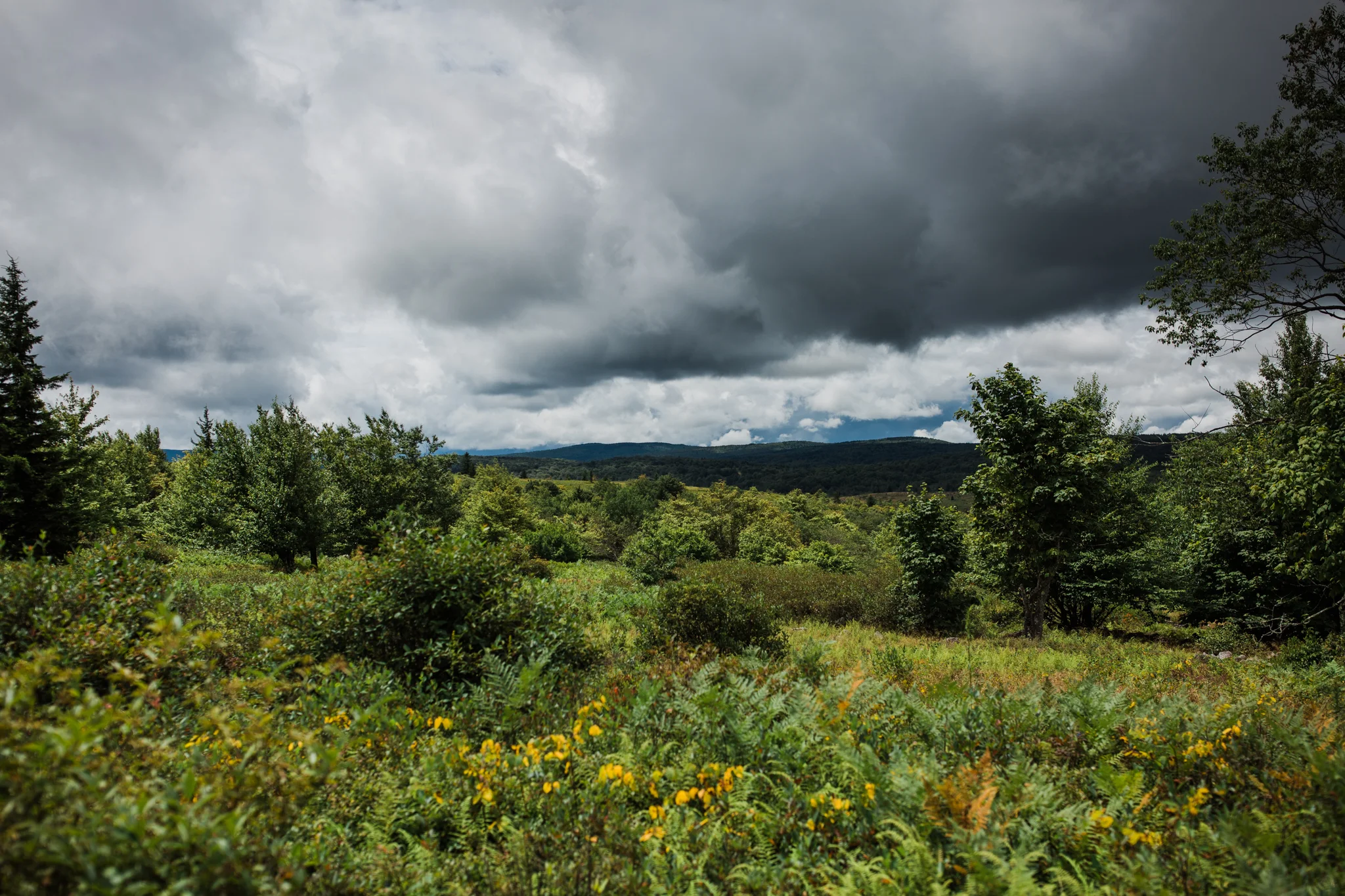 Hiking in Dolly Sods West Virginia, West Virginia adventure photographer, Dolly Sods adventures, rainy day adventures, rainy hike. A rainy backpacking trip at Dolly Sods, WV