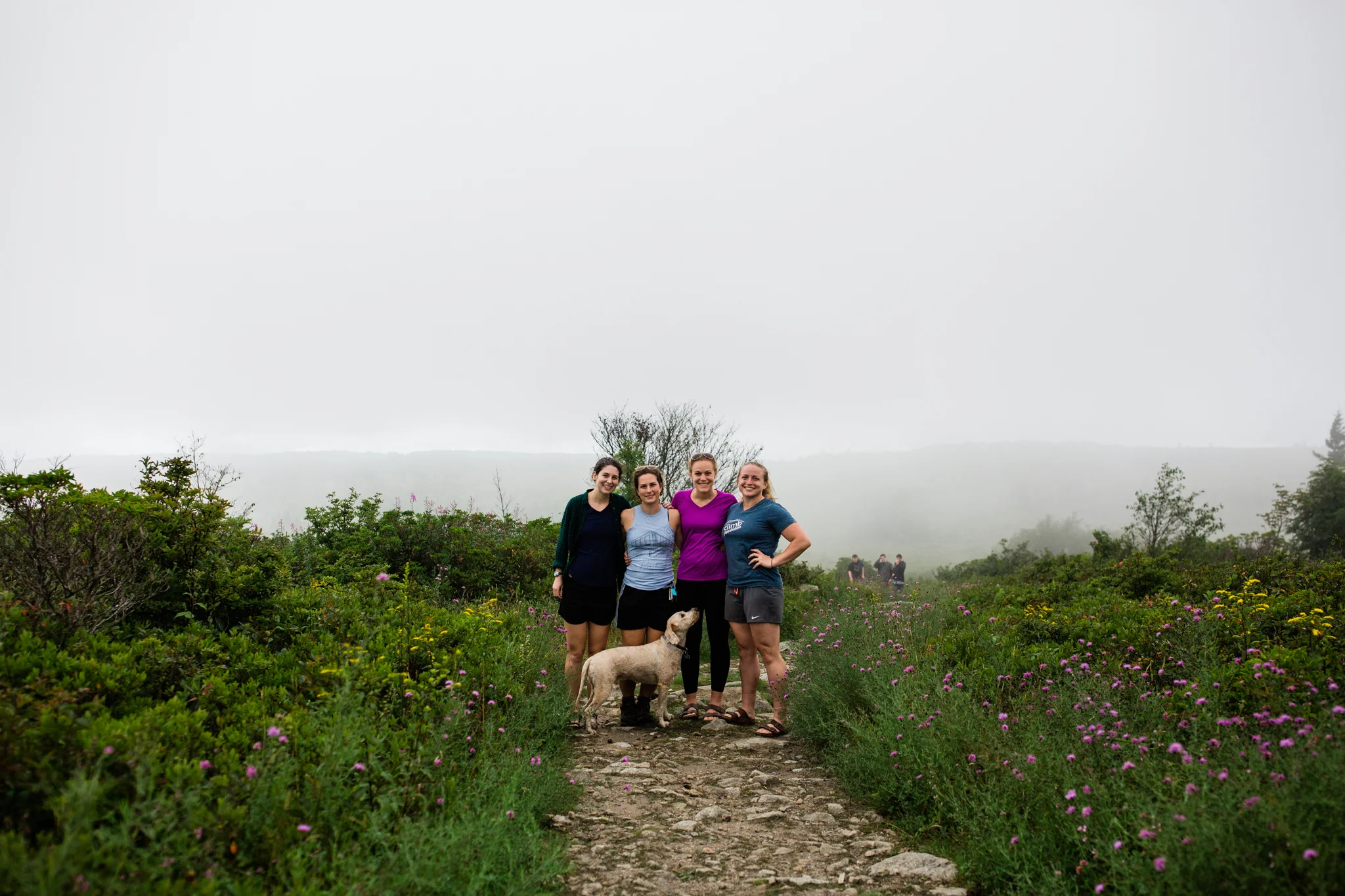 Hiking in Dolly Sods West Virginia, West Virginia adventure photographer, Dolly Sods adventures, rainy day adventures, rainy hike. A rainy backpacking trip at Dolly Sods, WV
