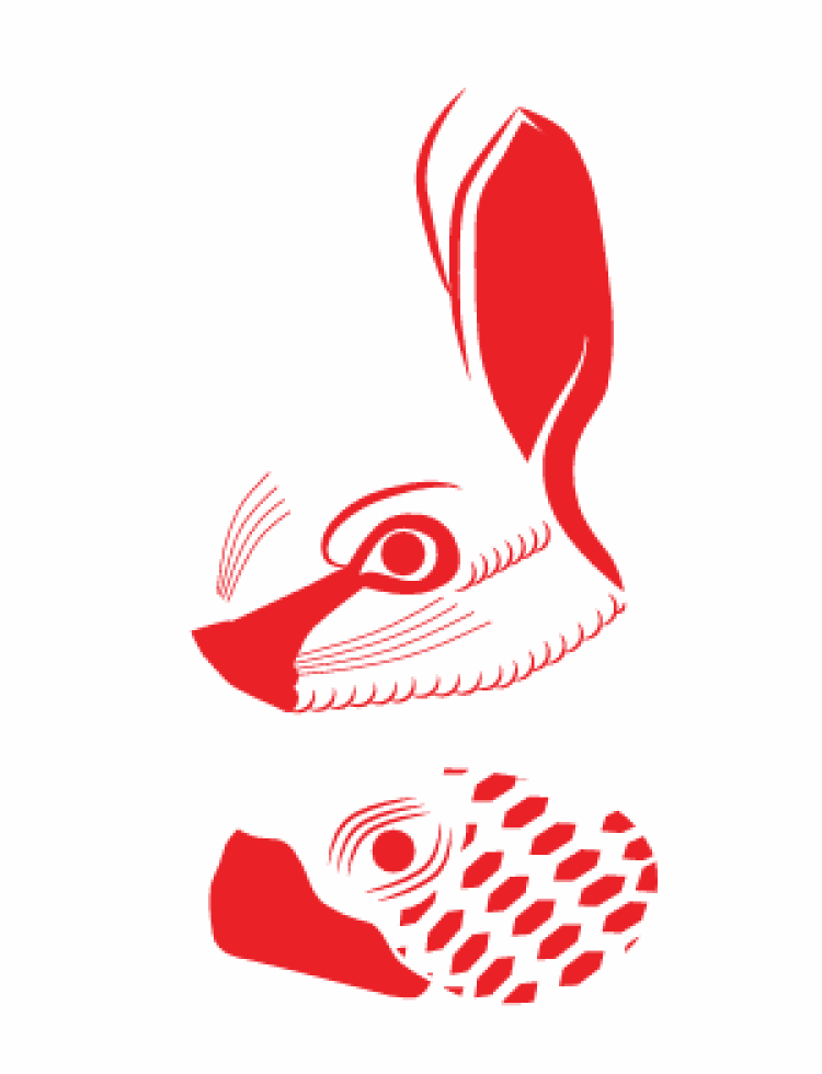 Hare and the Turtle