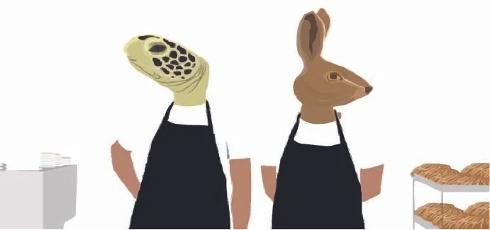 Hare and Turtle