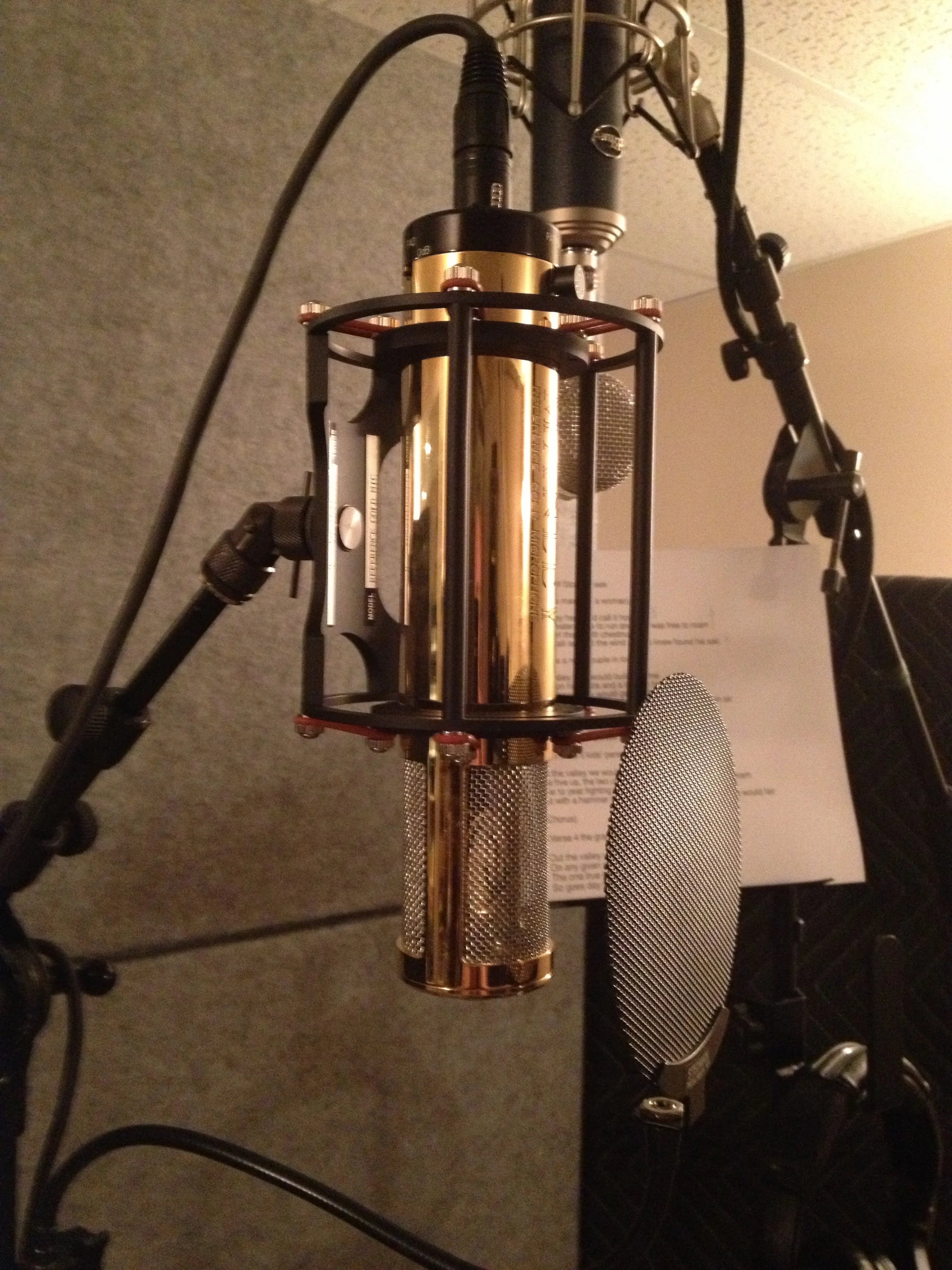 Gold Microphone.jpg