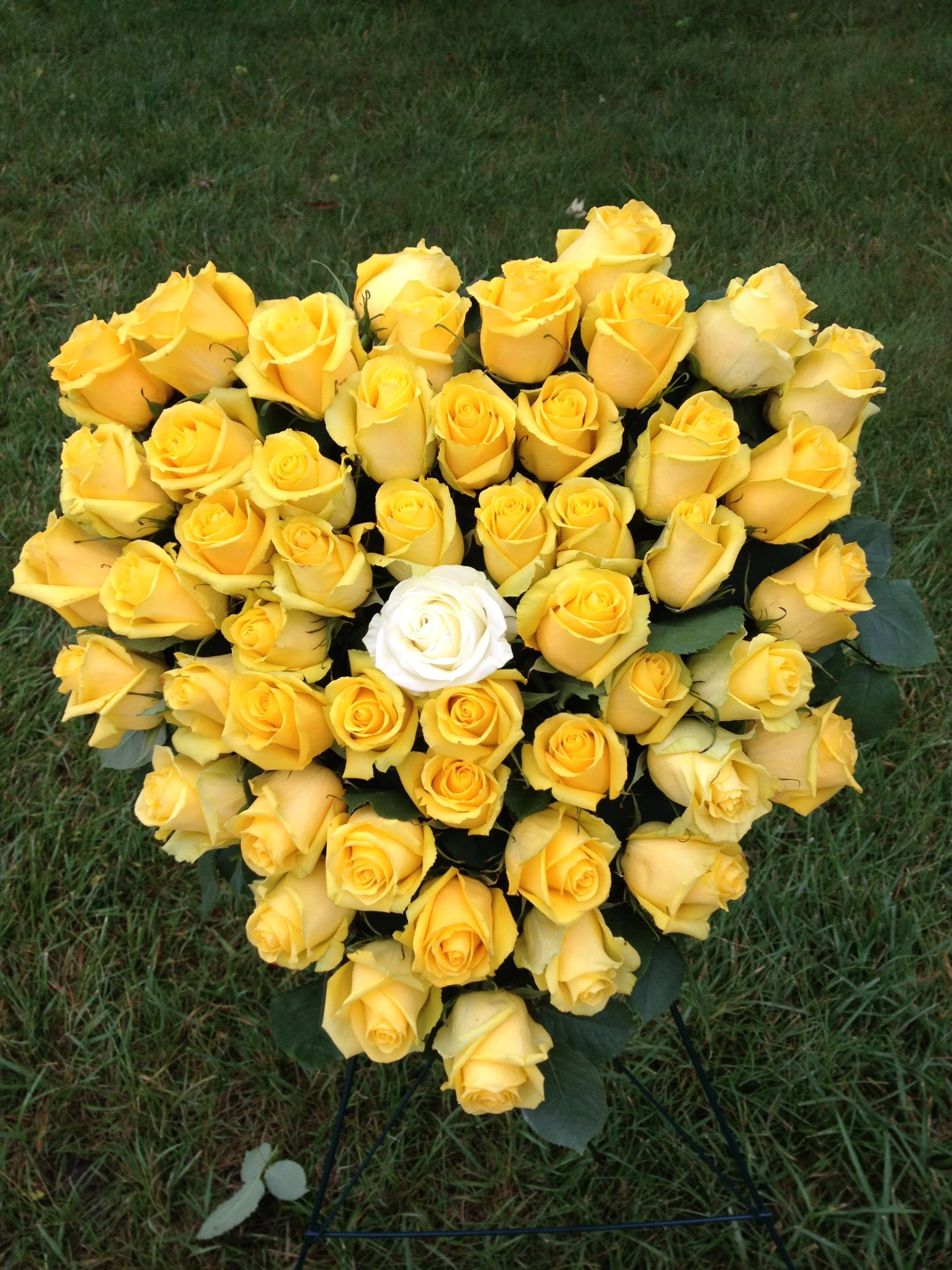 Yellow Roses Bubba's Funeral.jpg