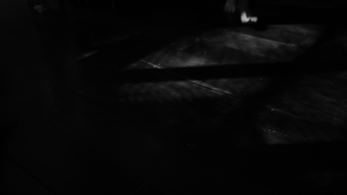clip444.gif