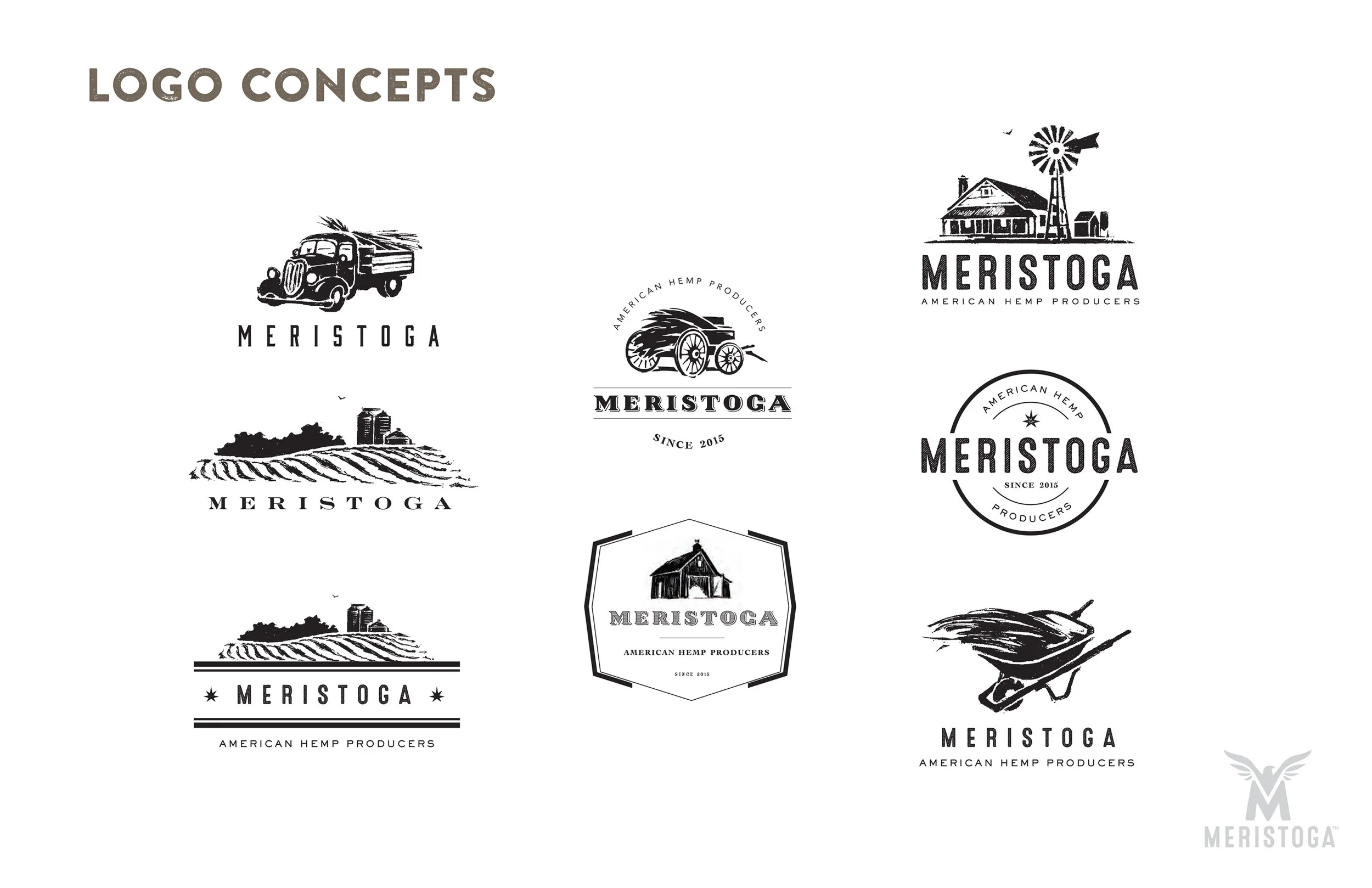 Meristoga_7.jpg