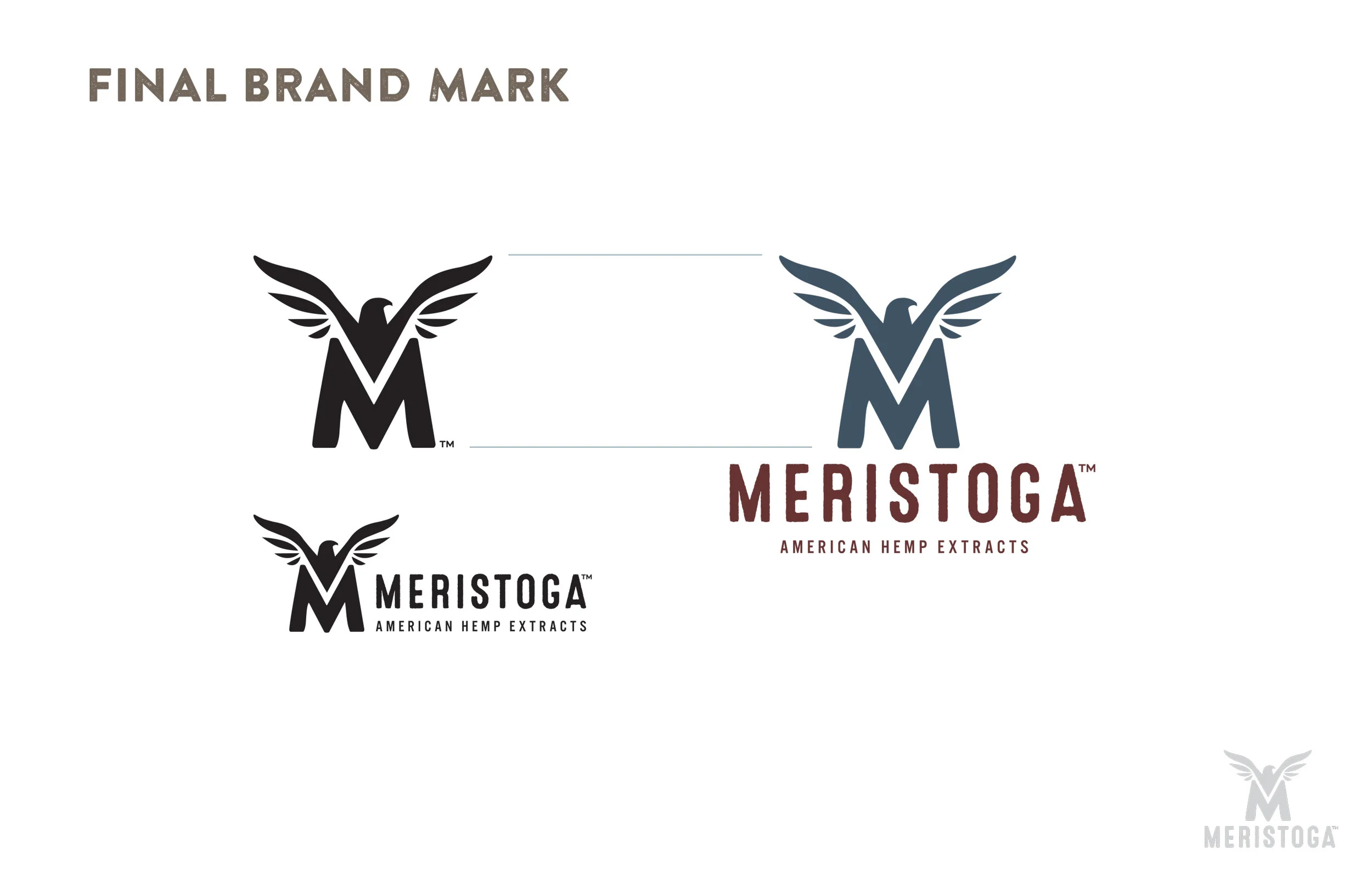 Meristoga_8.jpg