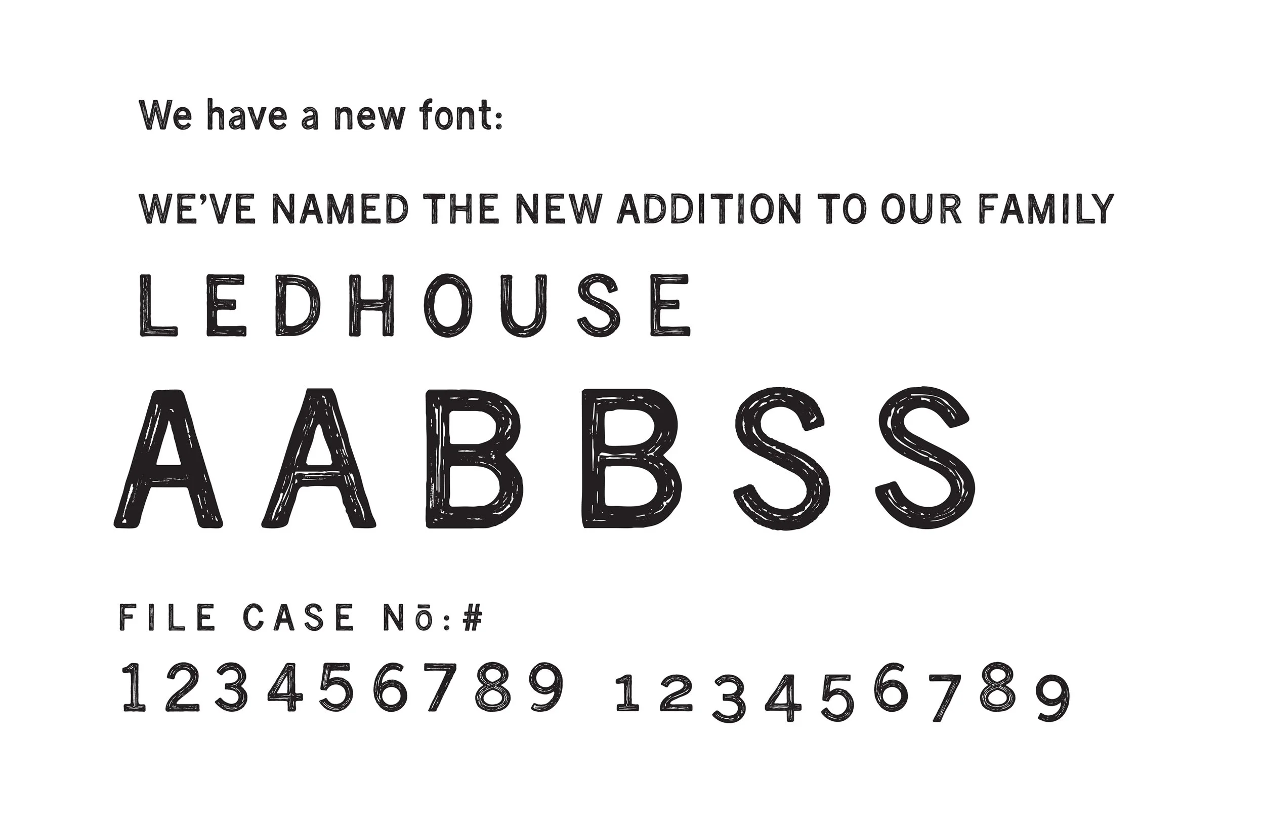 LEDHOUSE.jpg