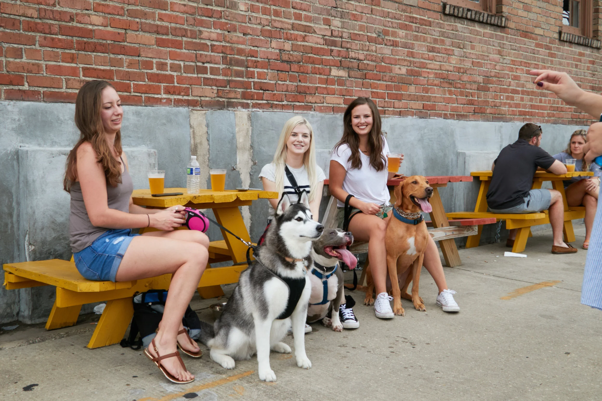 Untitled Job1488.jpg