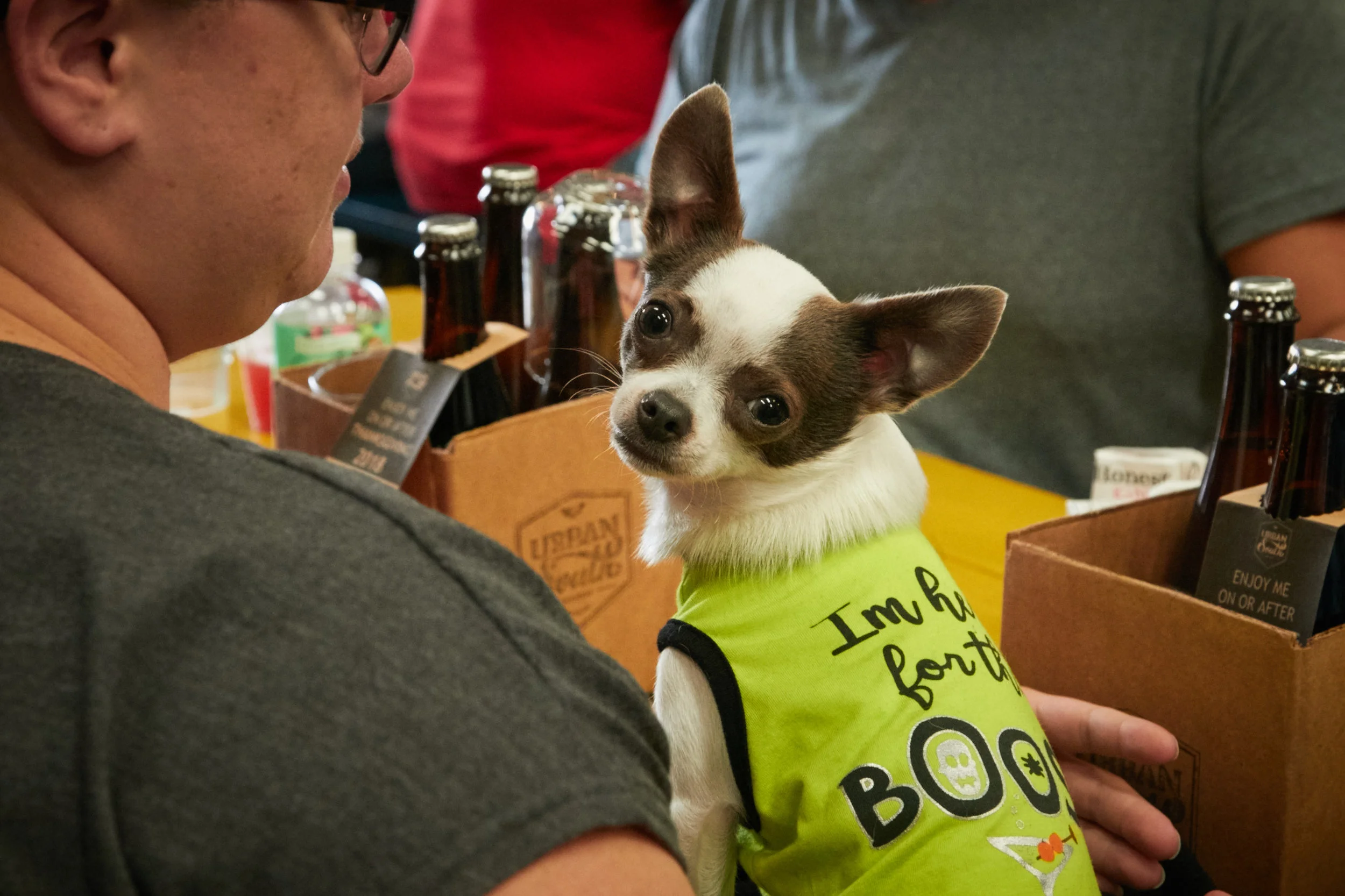 Untitled Job0535.jpg