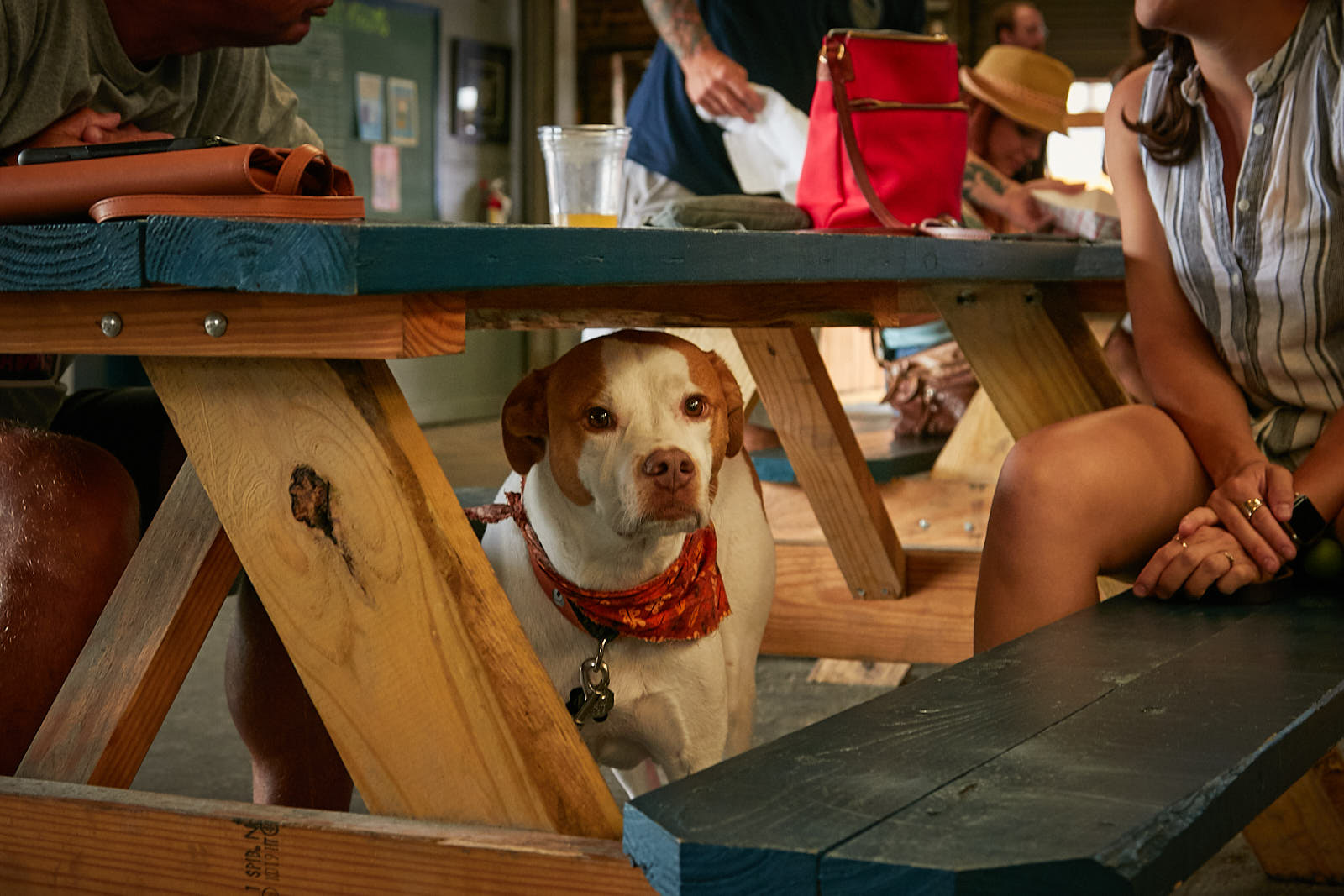 Untitled Job0197 4.jpg