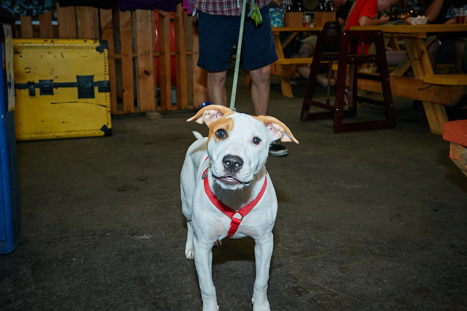 Untitled Job0072 4.jpg