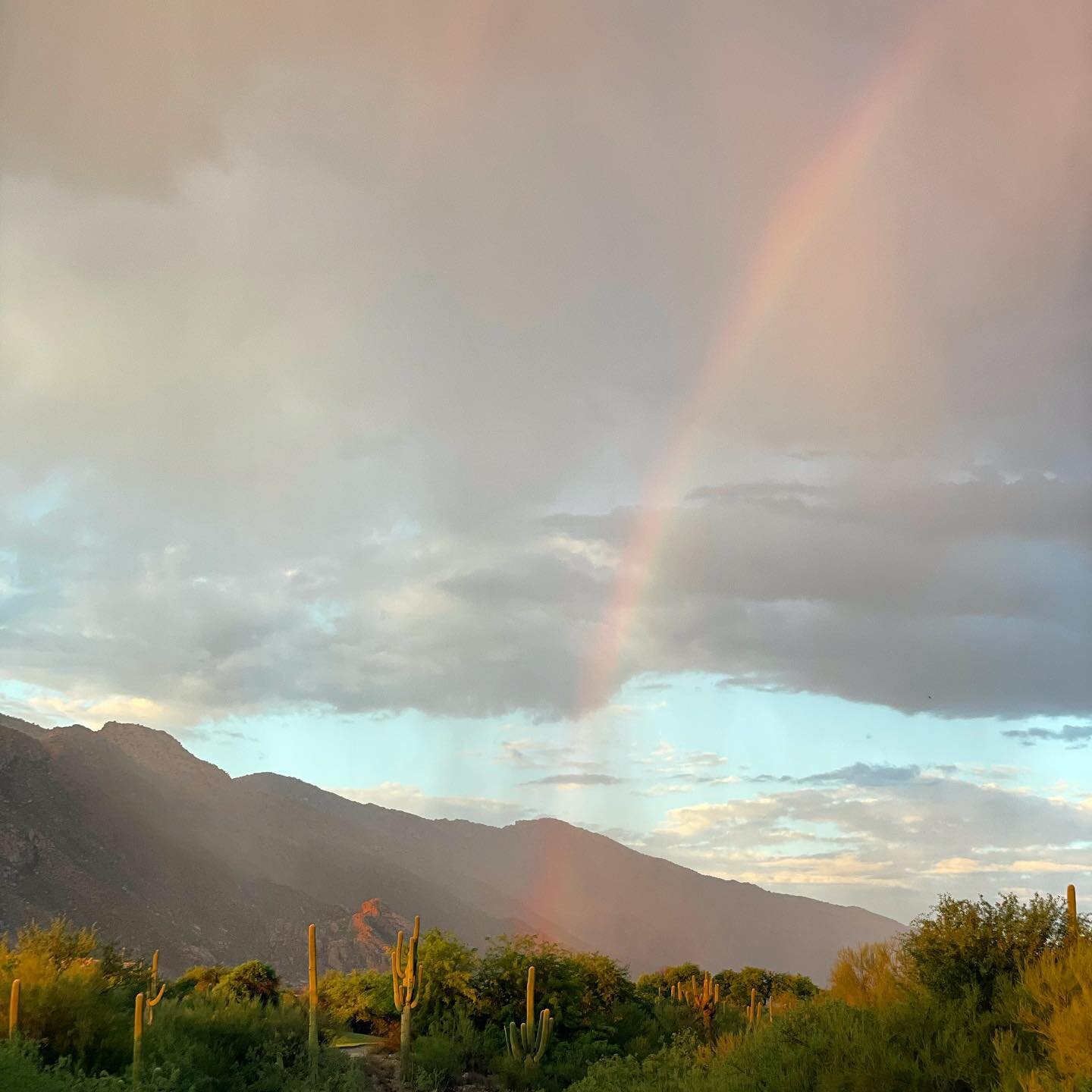 always chasing 🌈 

I promise art making is happening in small doses, but the documenting and sharing&hellip; has not been so much. So here is a magical moment from a Friday evening walk around our neighborhood. 

More to come soon 🙏