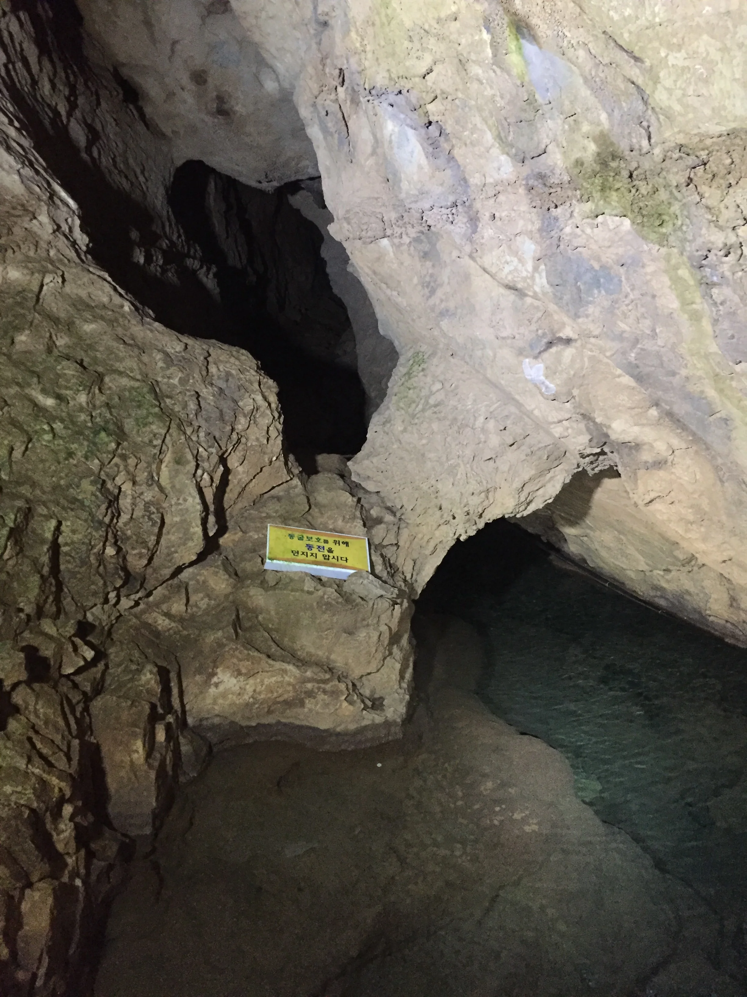 A lead in Hwanseon Cave! 