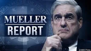 Marin Mobilization - Release the Report!