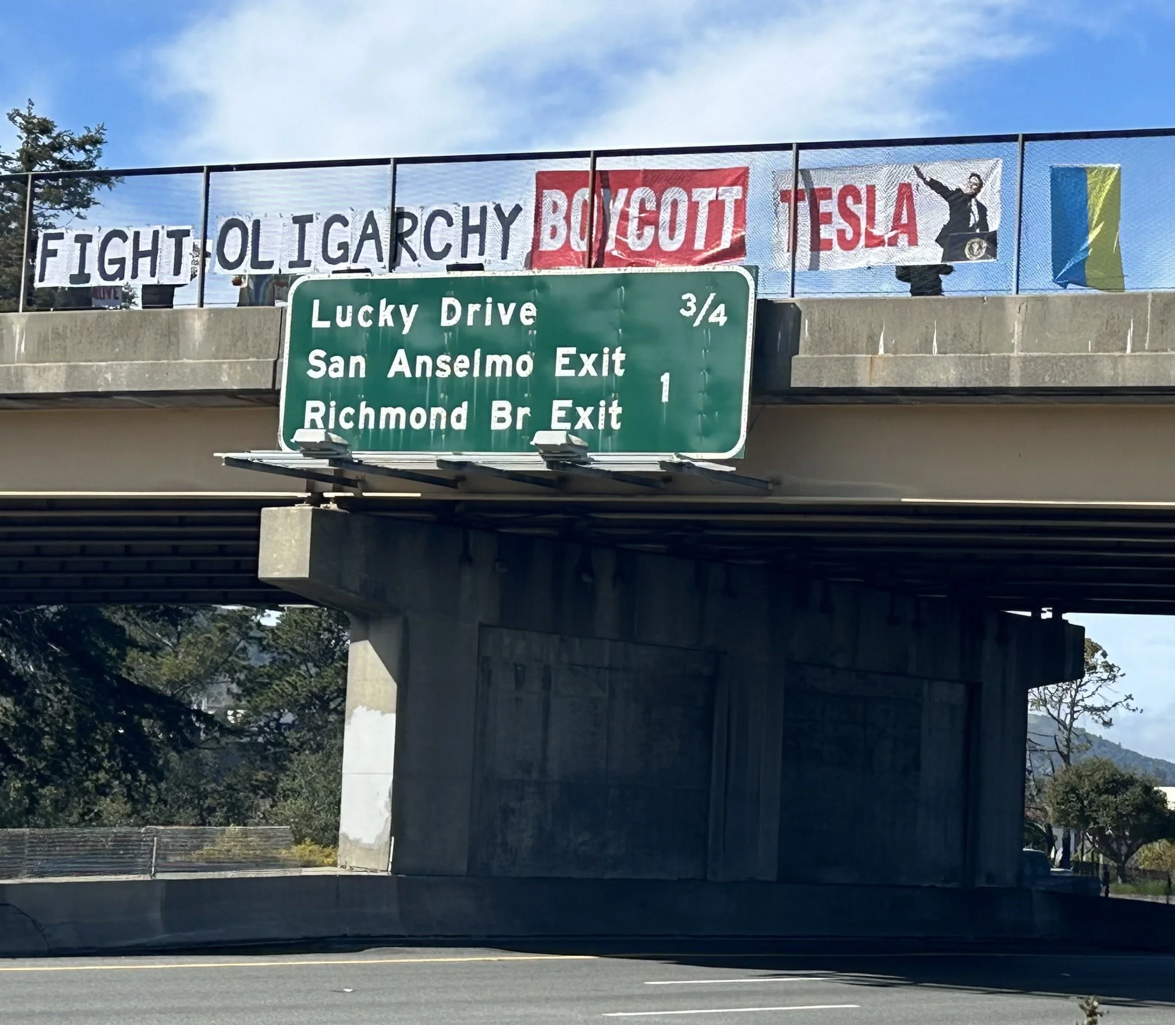 THIS WEEKEND - LOTS of Marin protests