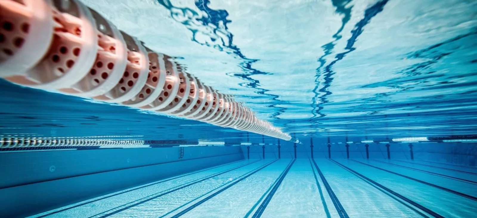underwater photo.jpg