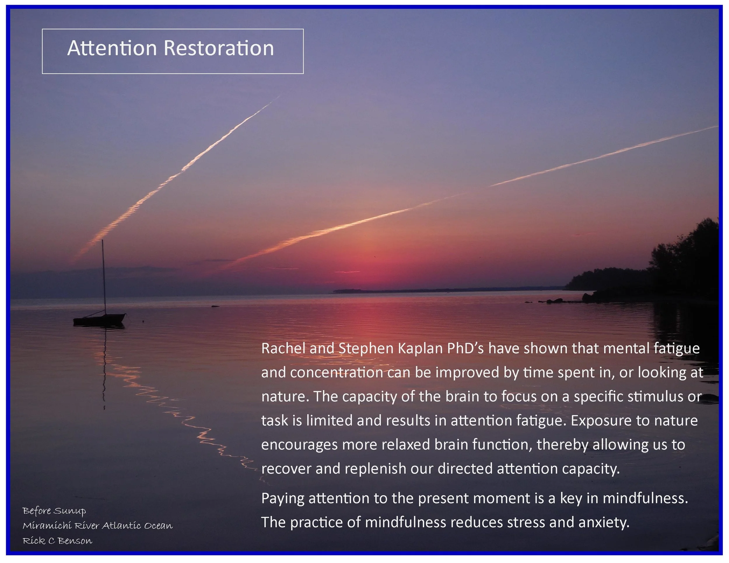 Nature Heals - Here is research that affirms.