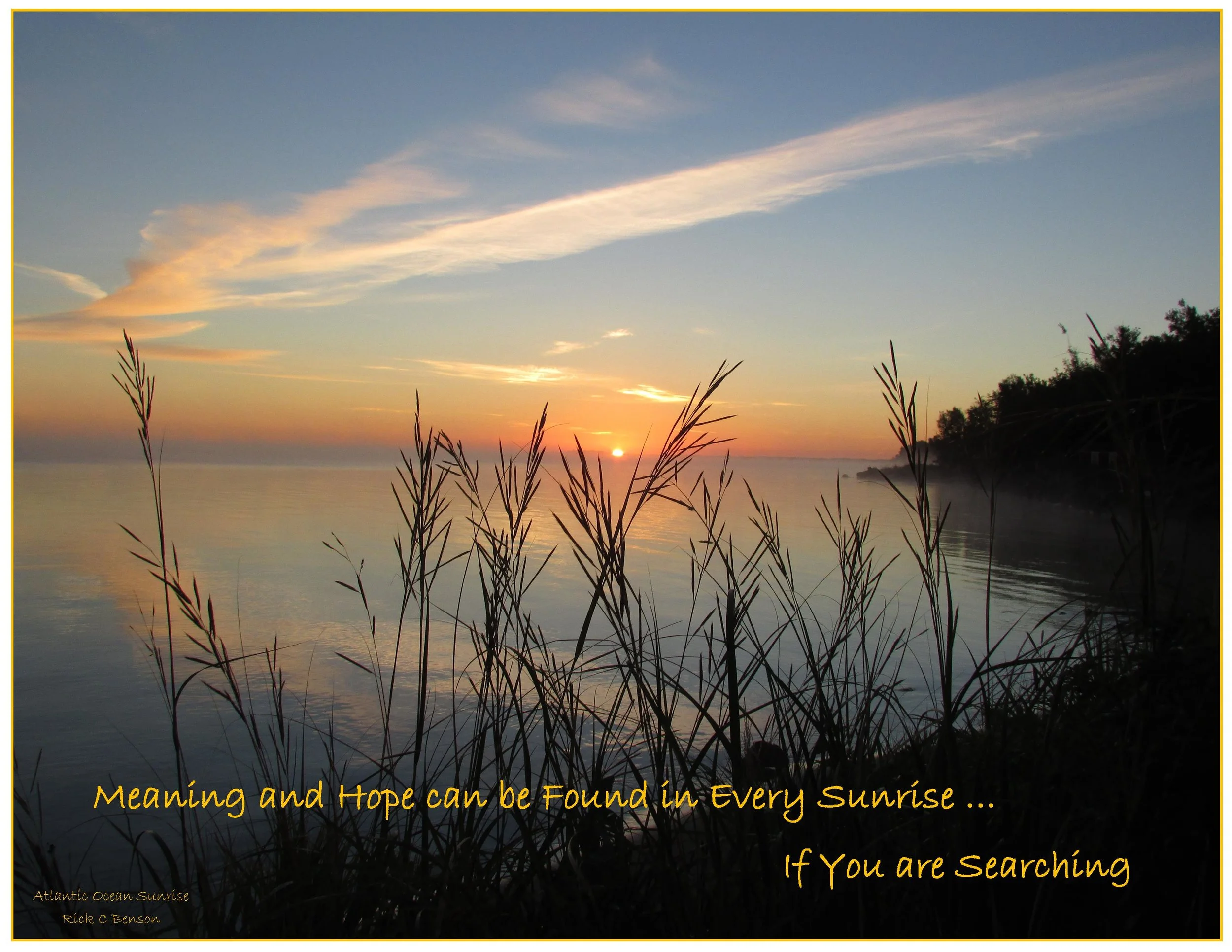 Search for Meaning
