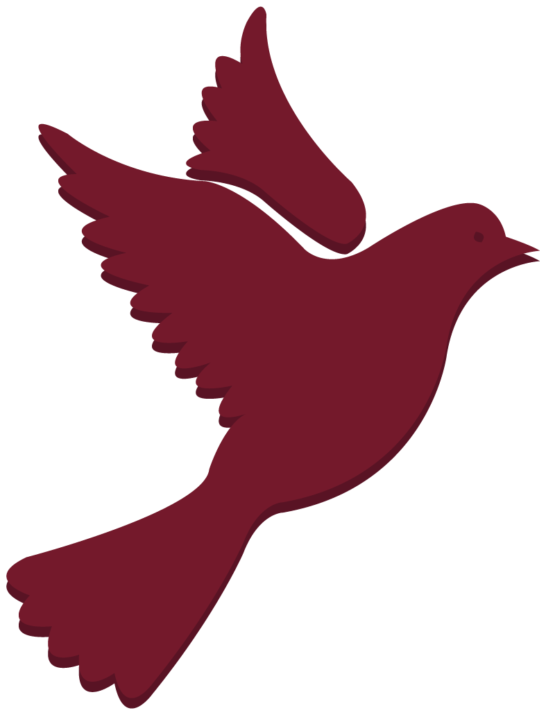 Dove-04.png