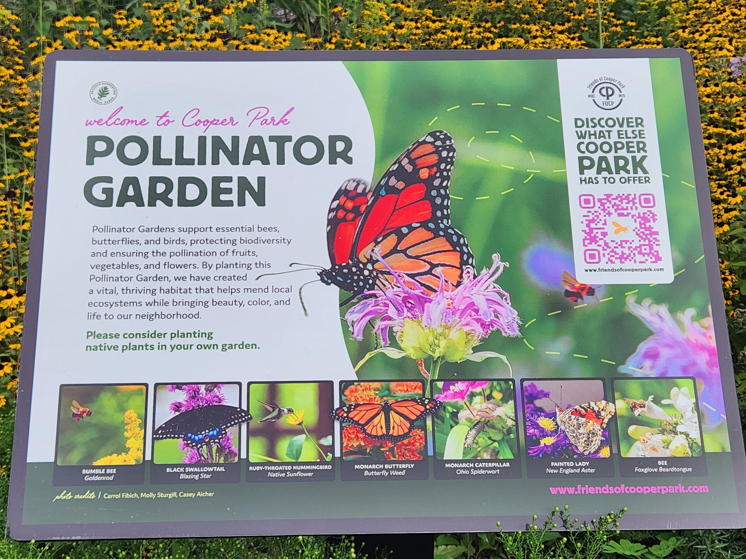 pollinator garden sign summer 2026.jpg