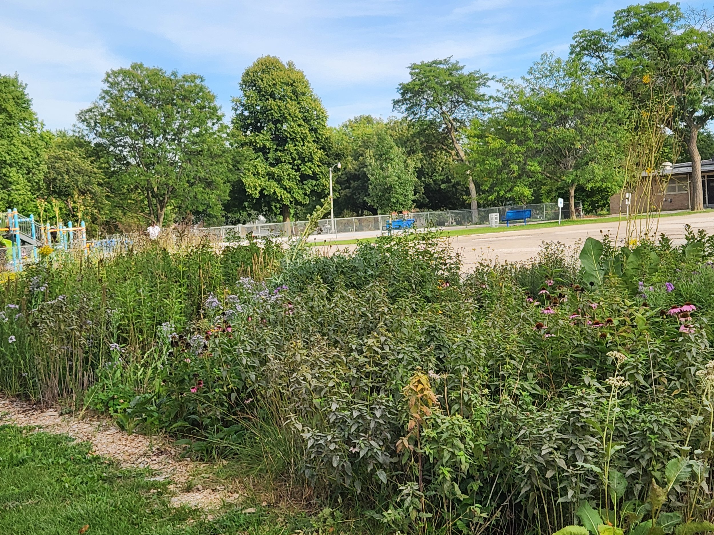 pollinator garden 2 summer 2026.jpg