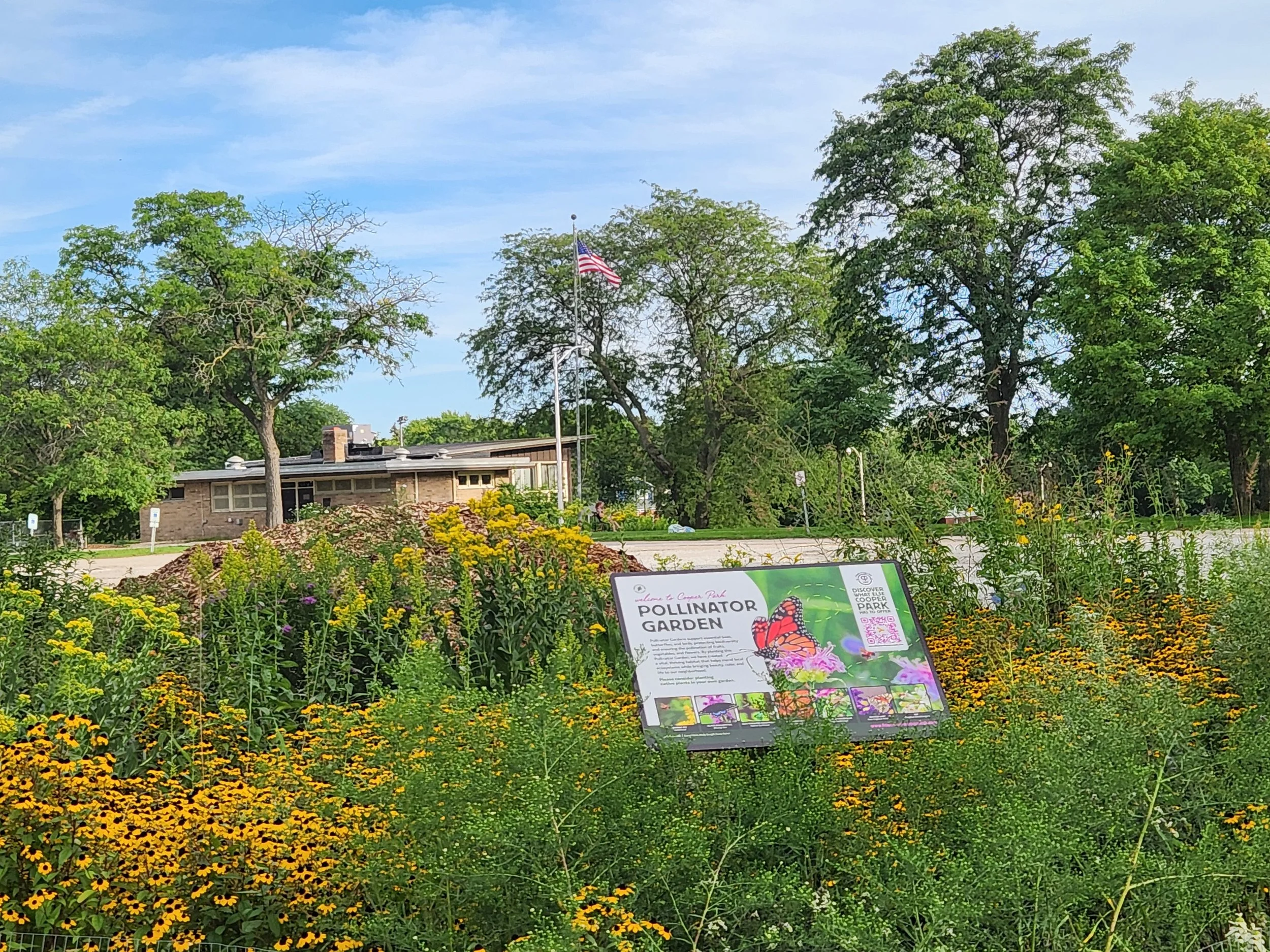pollinator garden 1 summer 2026.jpg
