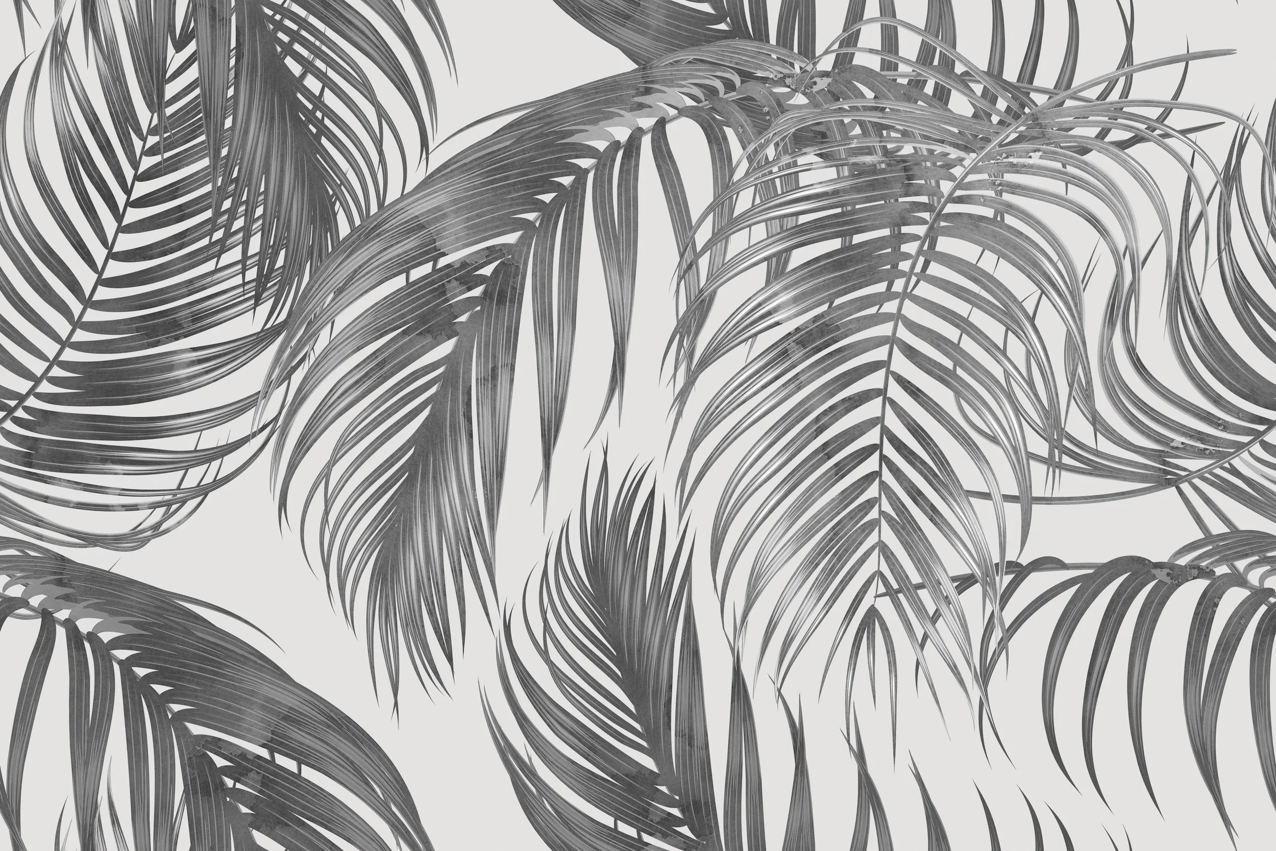 palm_dark_grey.jpg