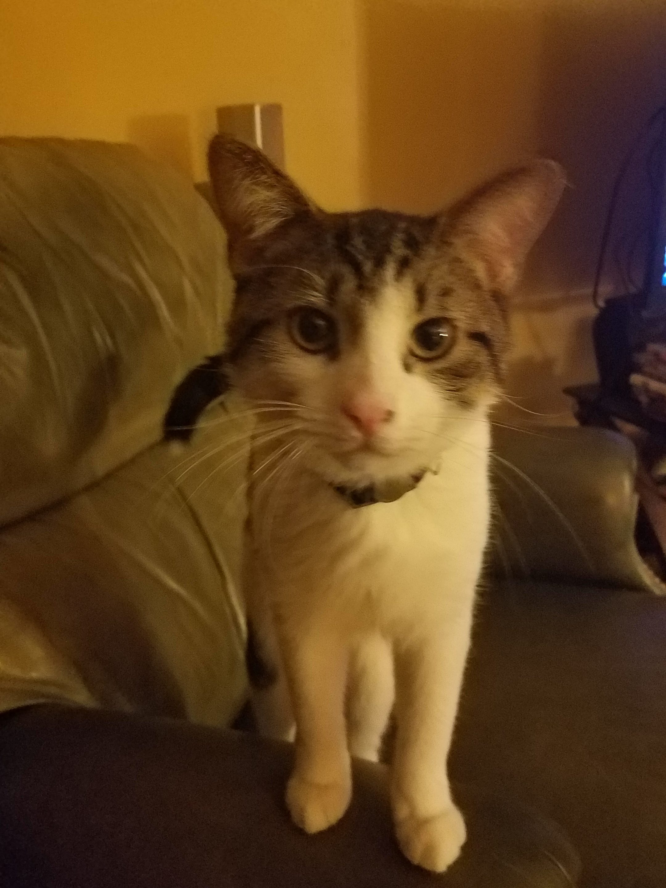 Meet Lil' John