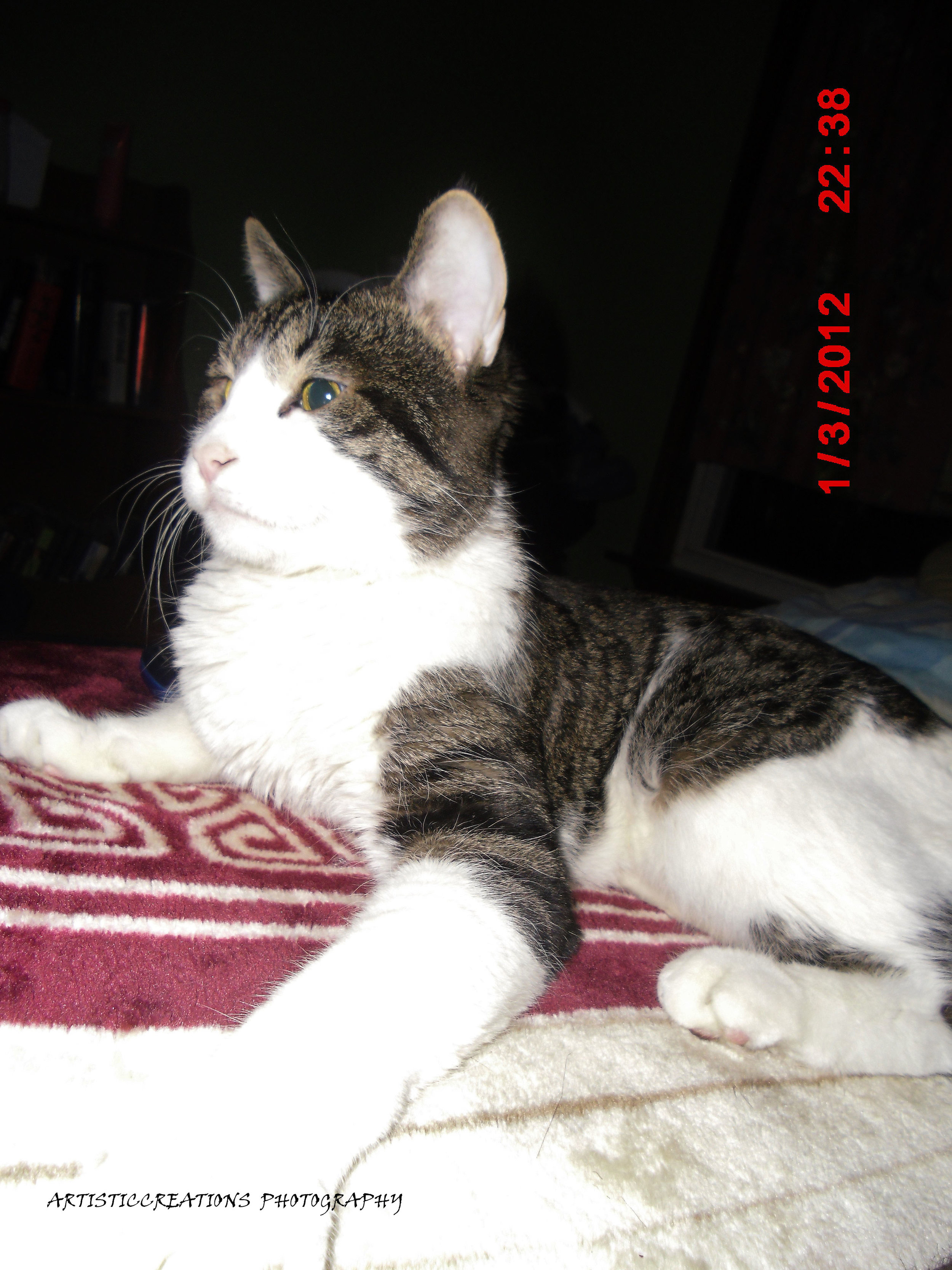 Here's Oliver