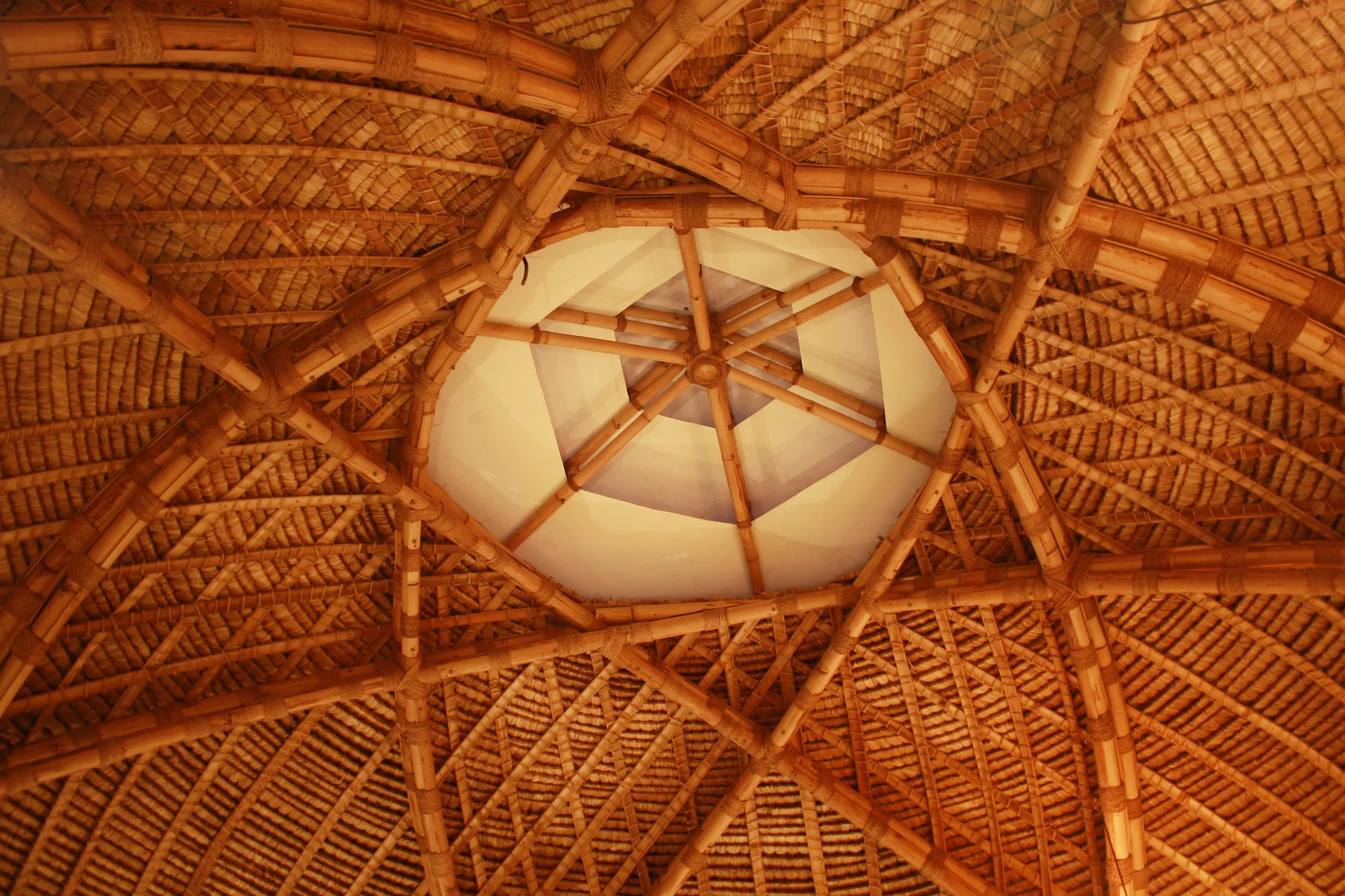 bio-architecture NE (55).jpg