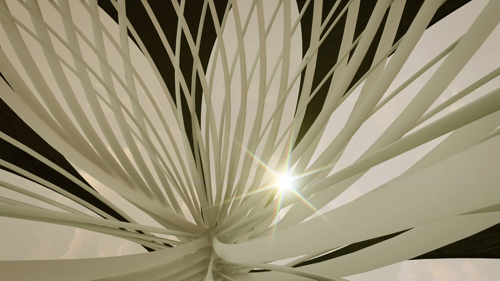 TOROID structure(a) (1).jpg