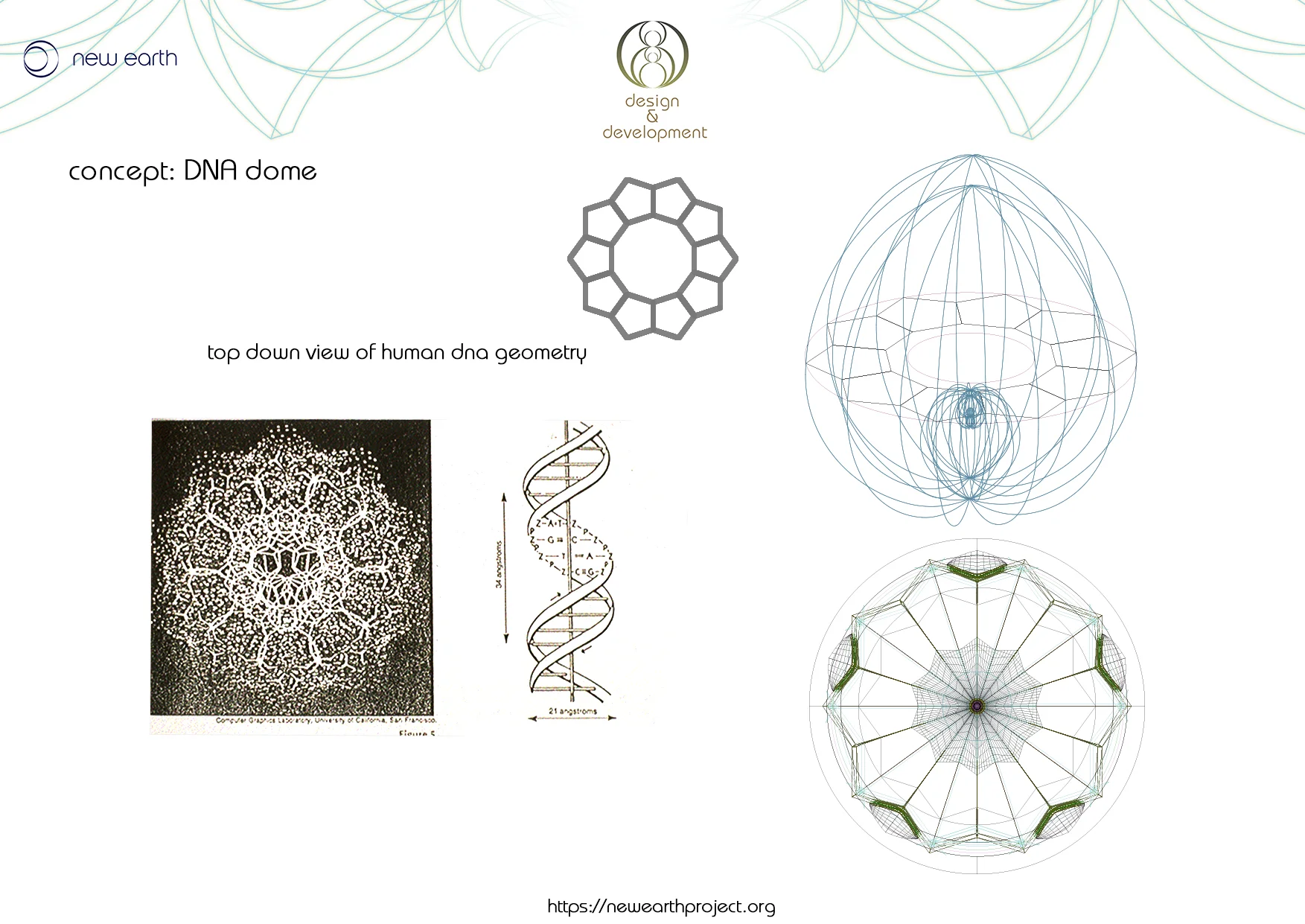DNA dome 1..jpg