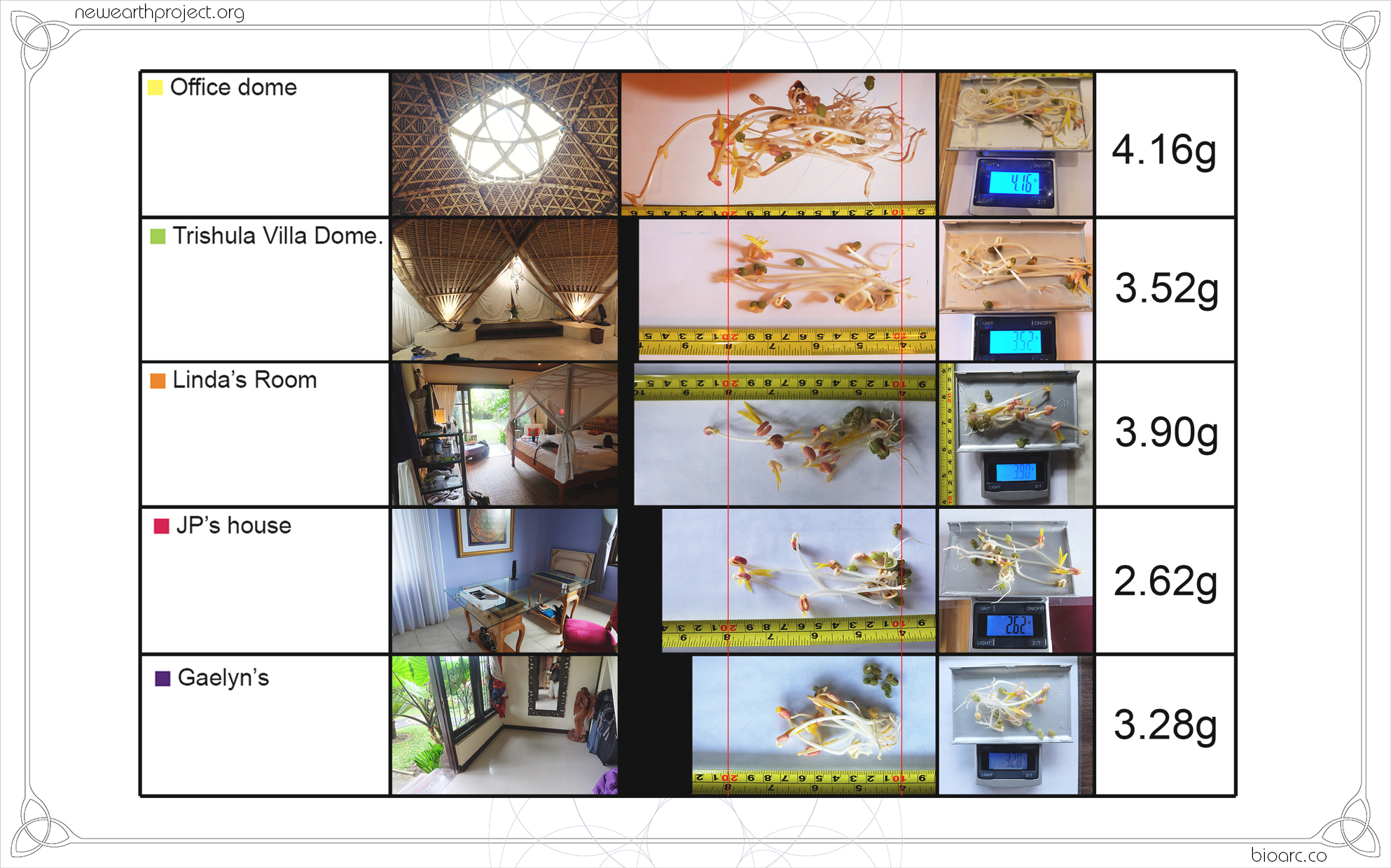PRESENTATION 11..jpg