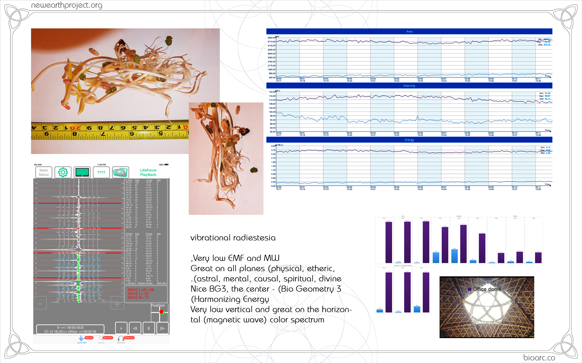 PRESENTATIONS seed 10 .jpg