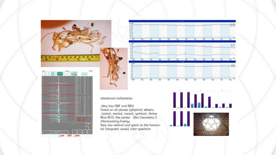 V8 Bio Arc Presentation.  (3).jpg