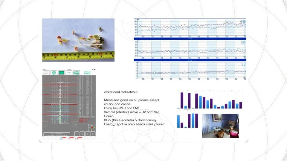 V8 Bio Arc Presentation.  (2).jpg