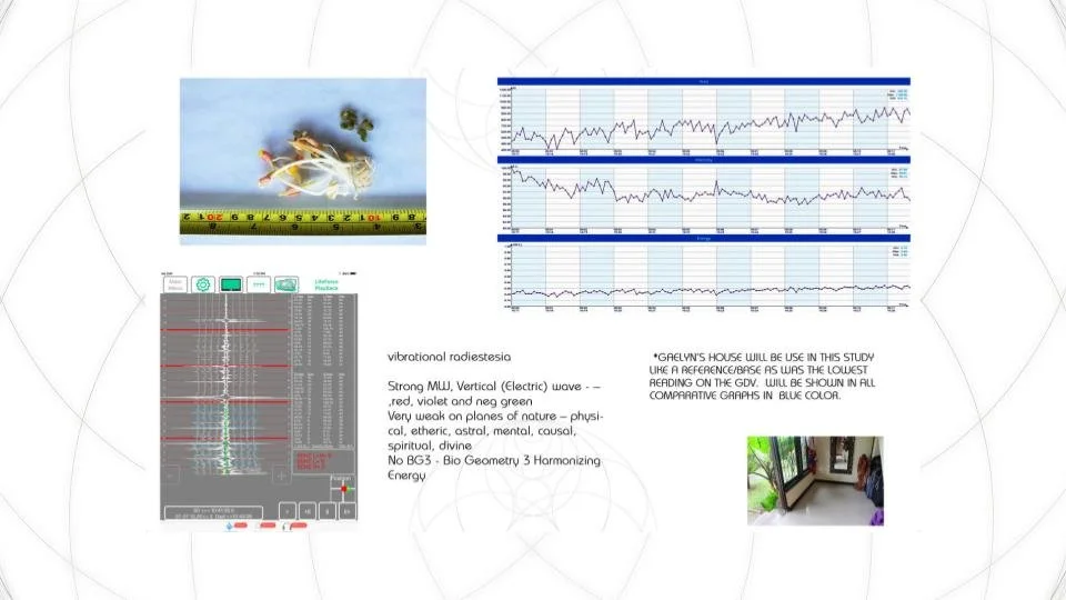 V8 Bio Arc Presentation.  (1).jpg