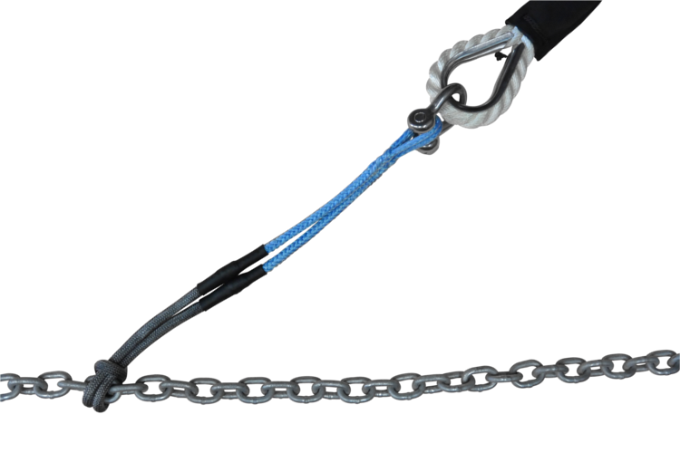 chain-to-bridle-website-750-by.png