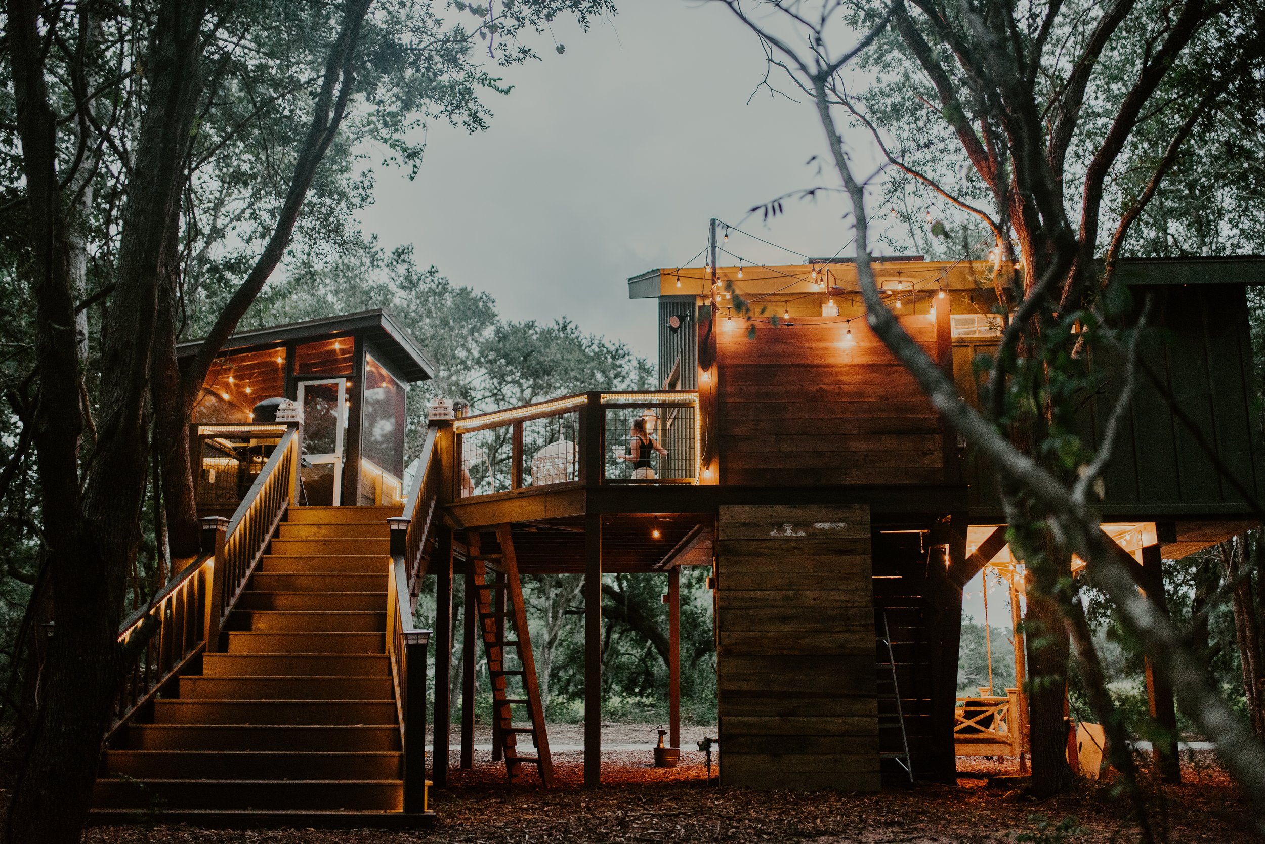 THE LIVING ROOM TREEHOUSE