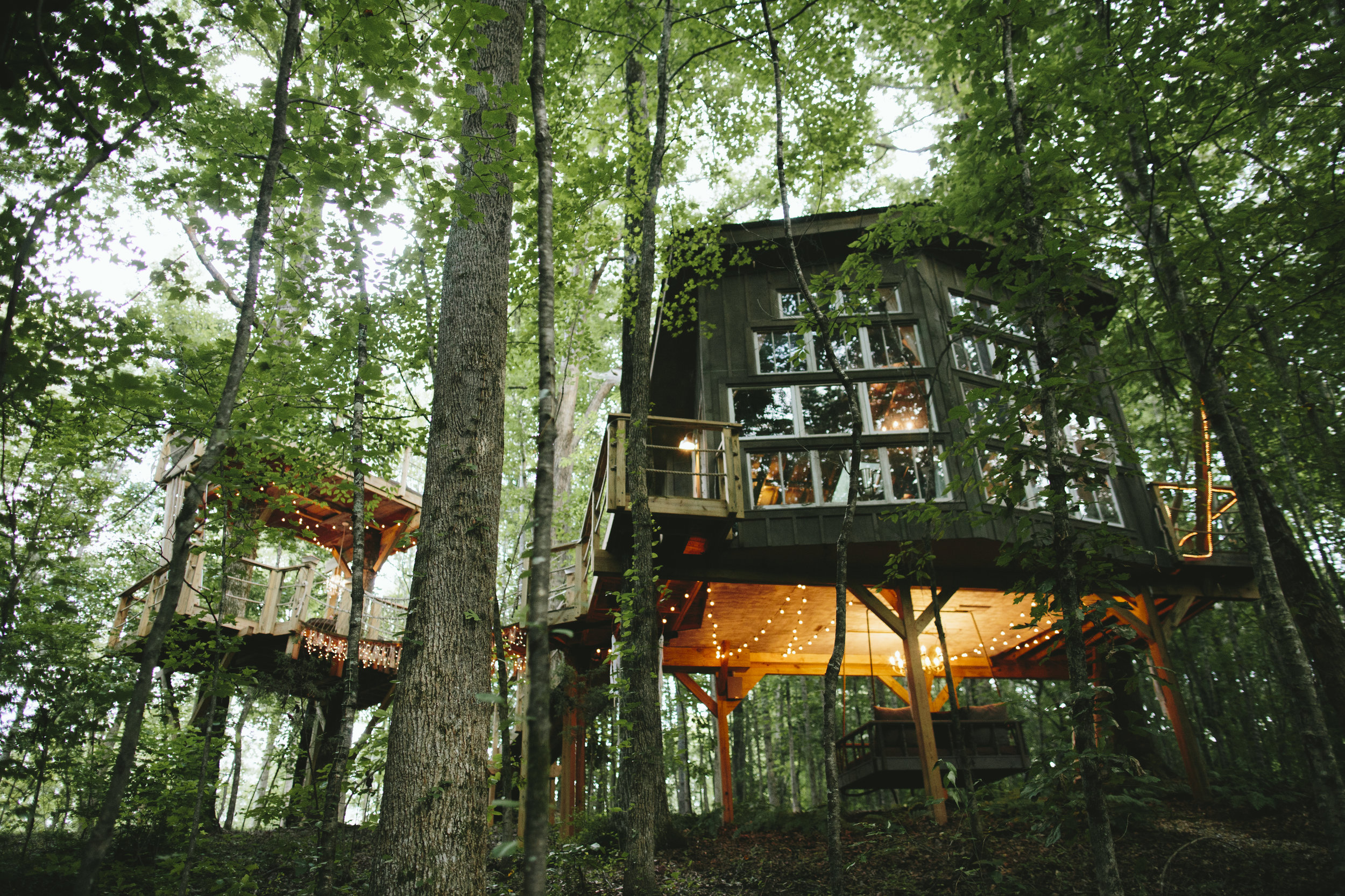 1BoltTreehouse_MorningWild28.jpeg