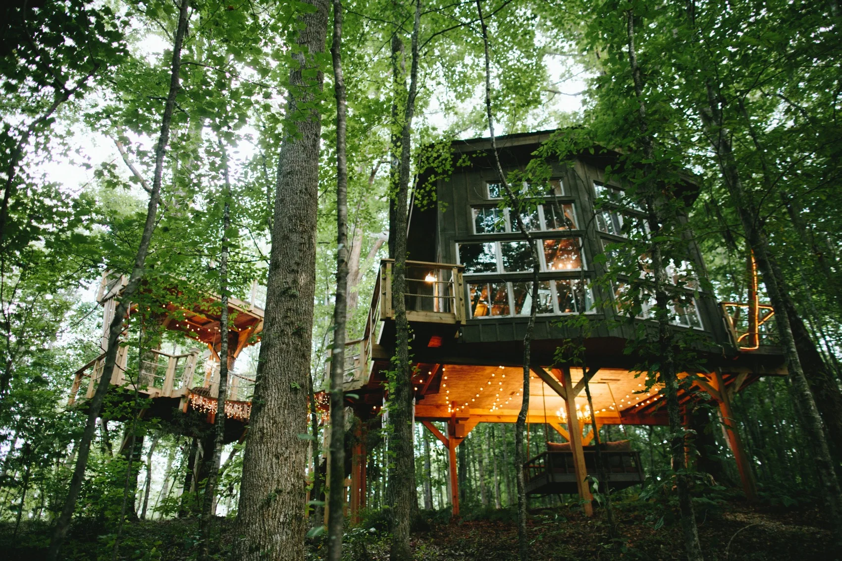 THE MAJESTIC TREEHOUSE