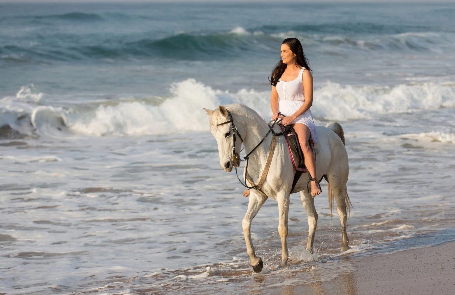HORSEBACK RIDING